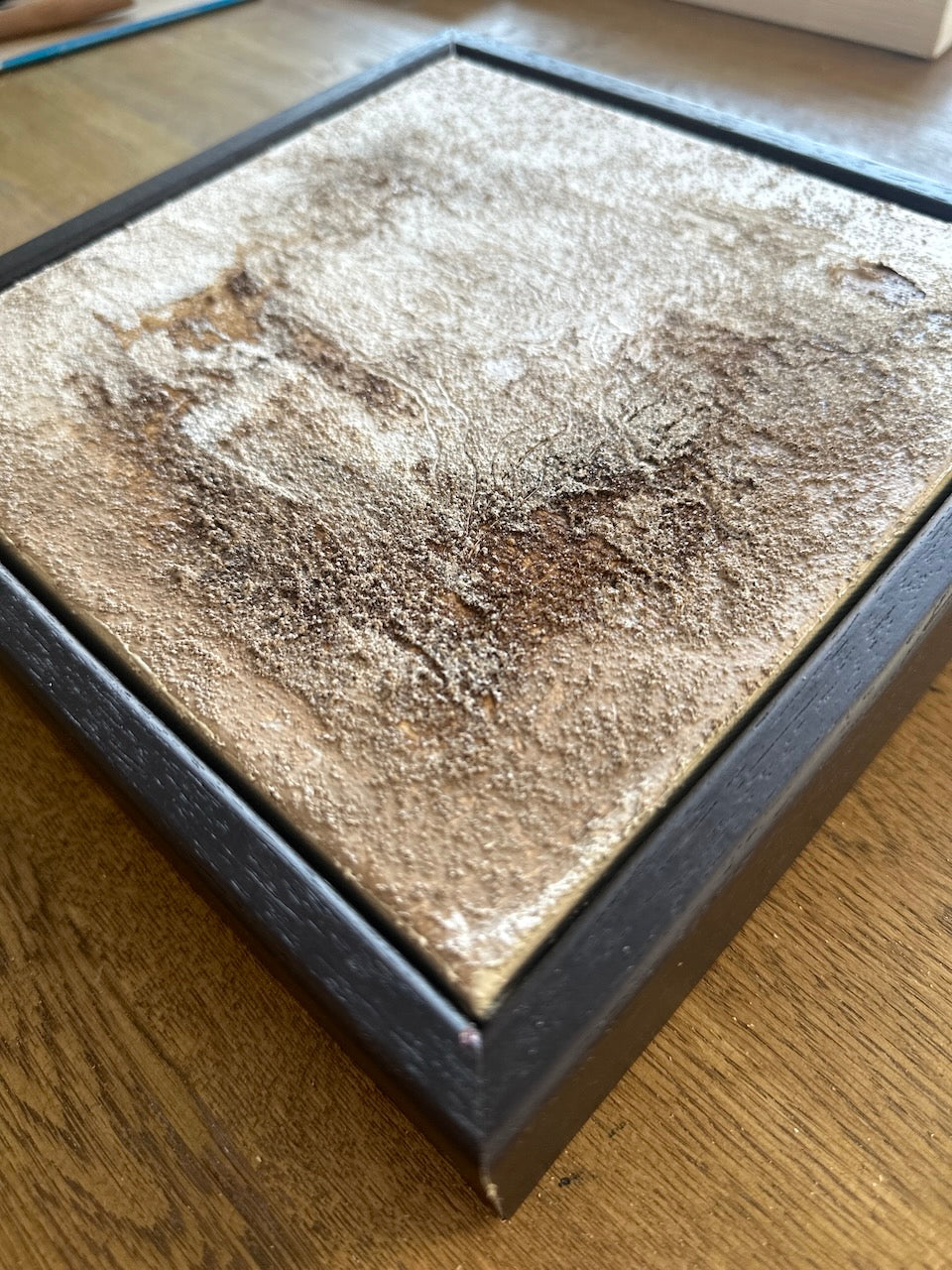 BIRCH / Mixed media