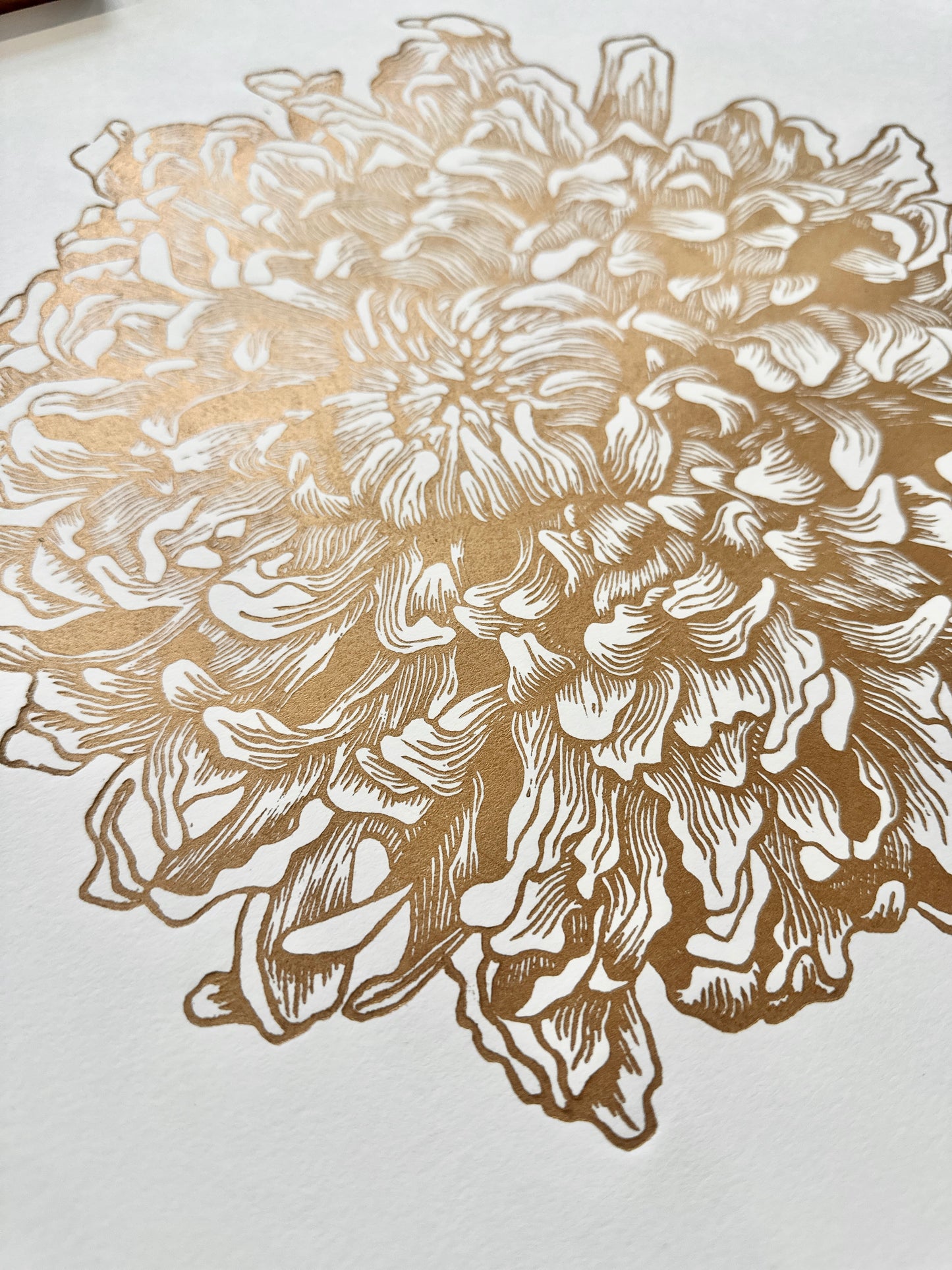 Peony / 40x40cm