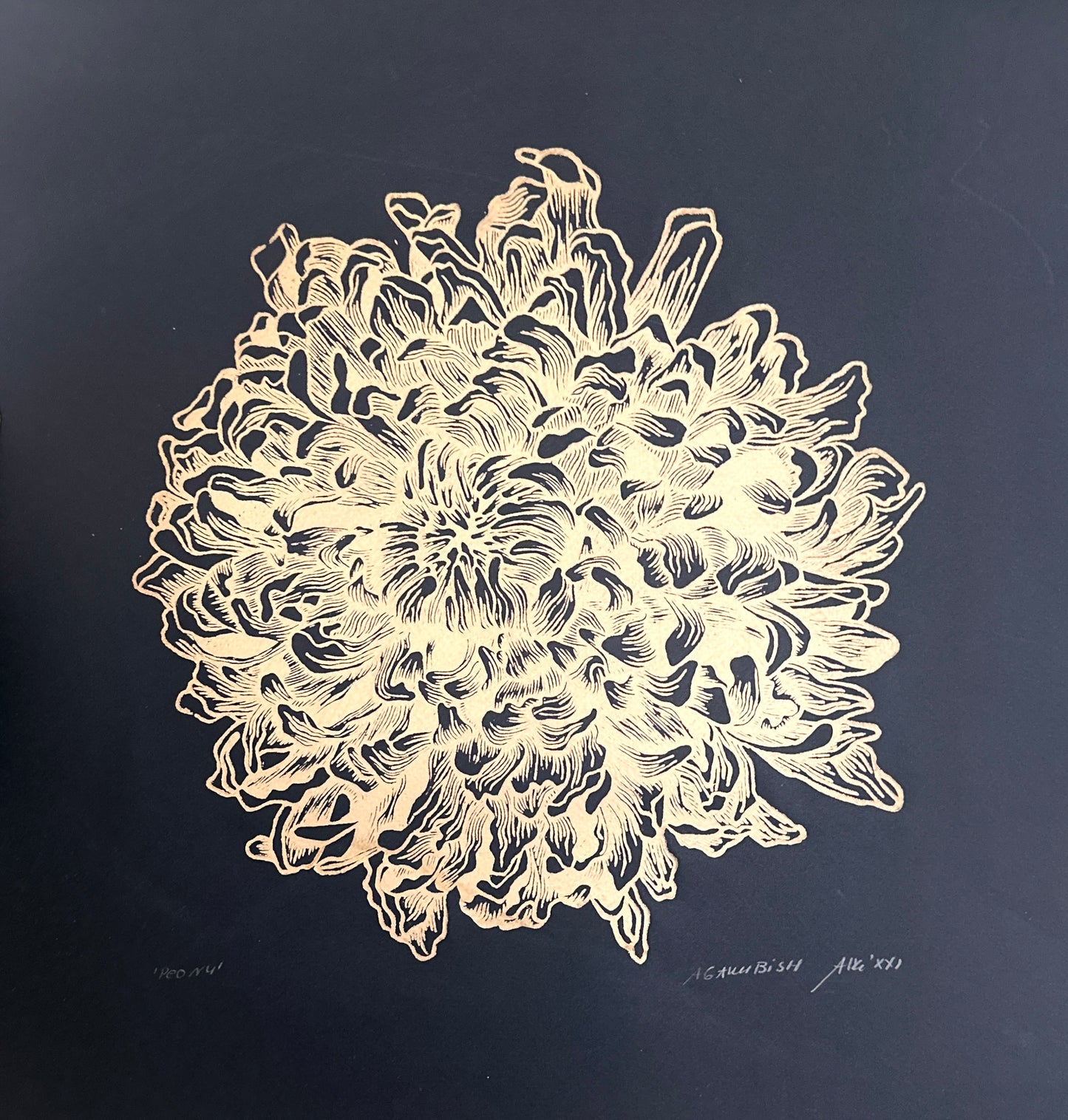 Peony / 40x40cm