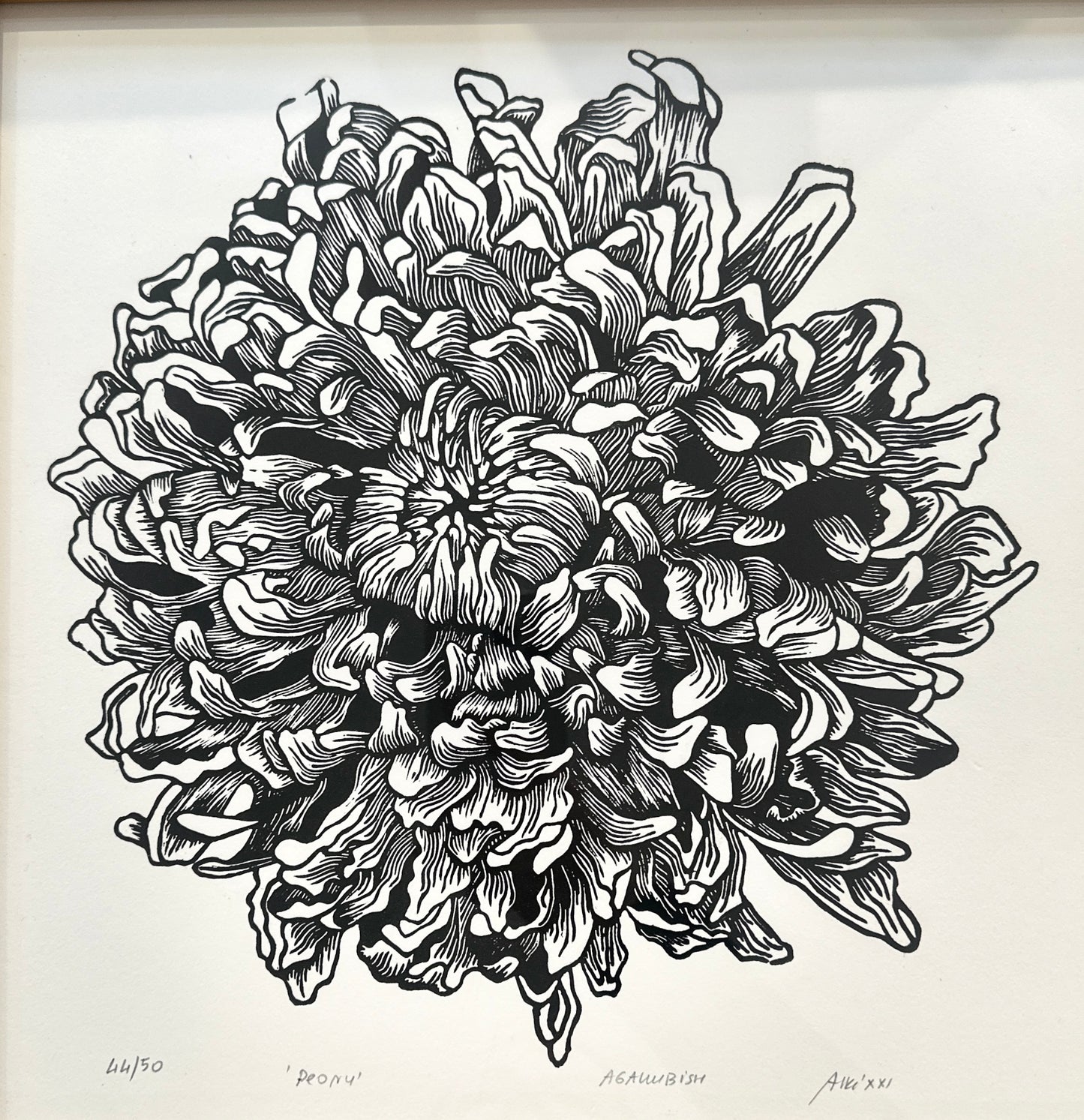Peony / 40x40cm