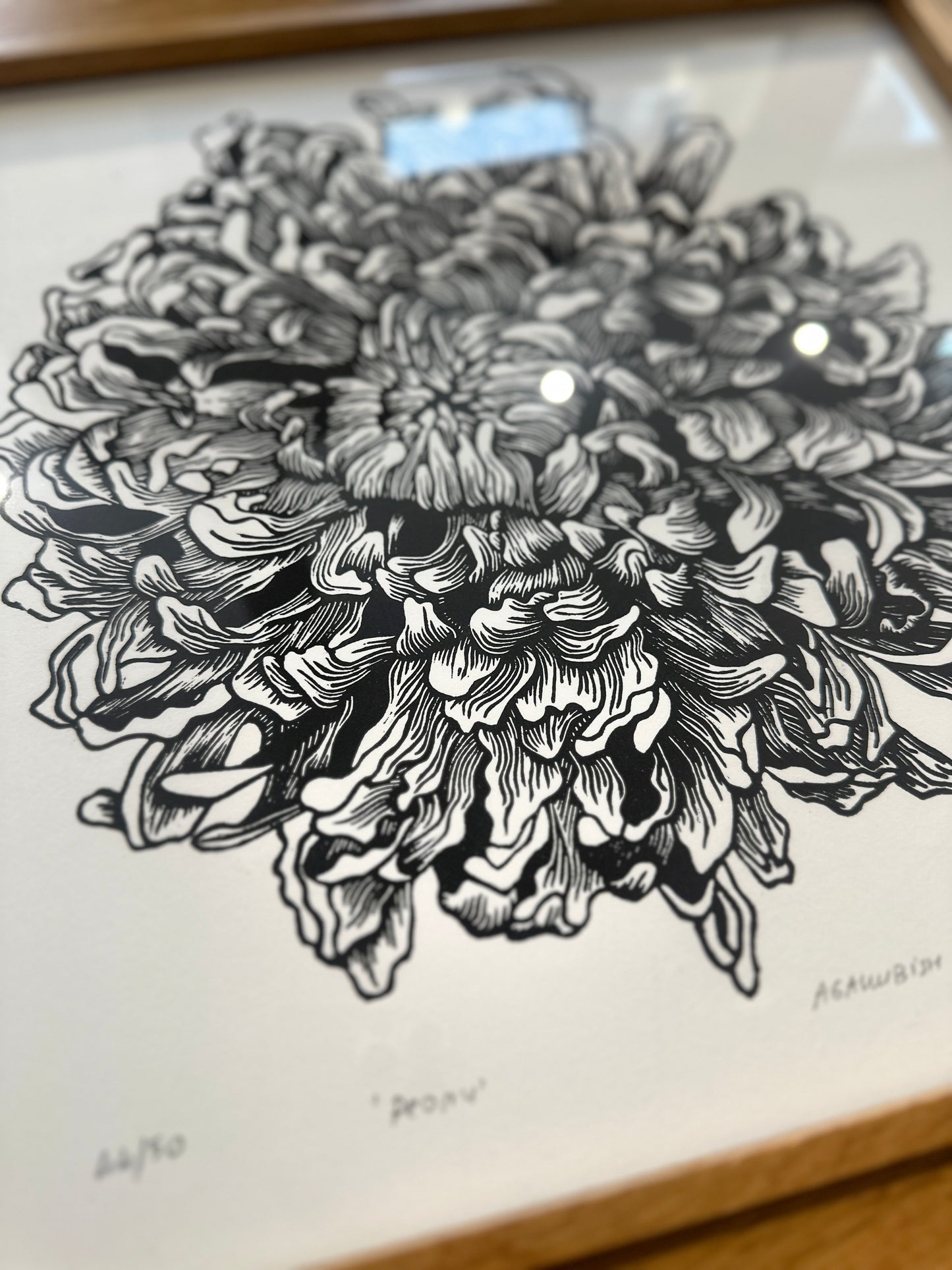 Peony / 40x40cm