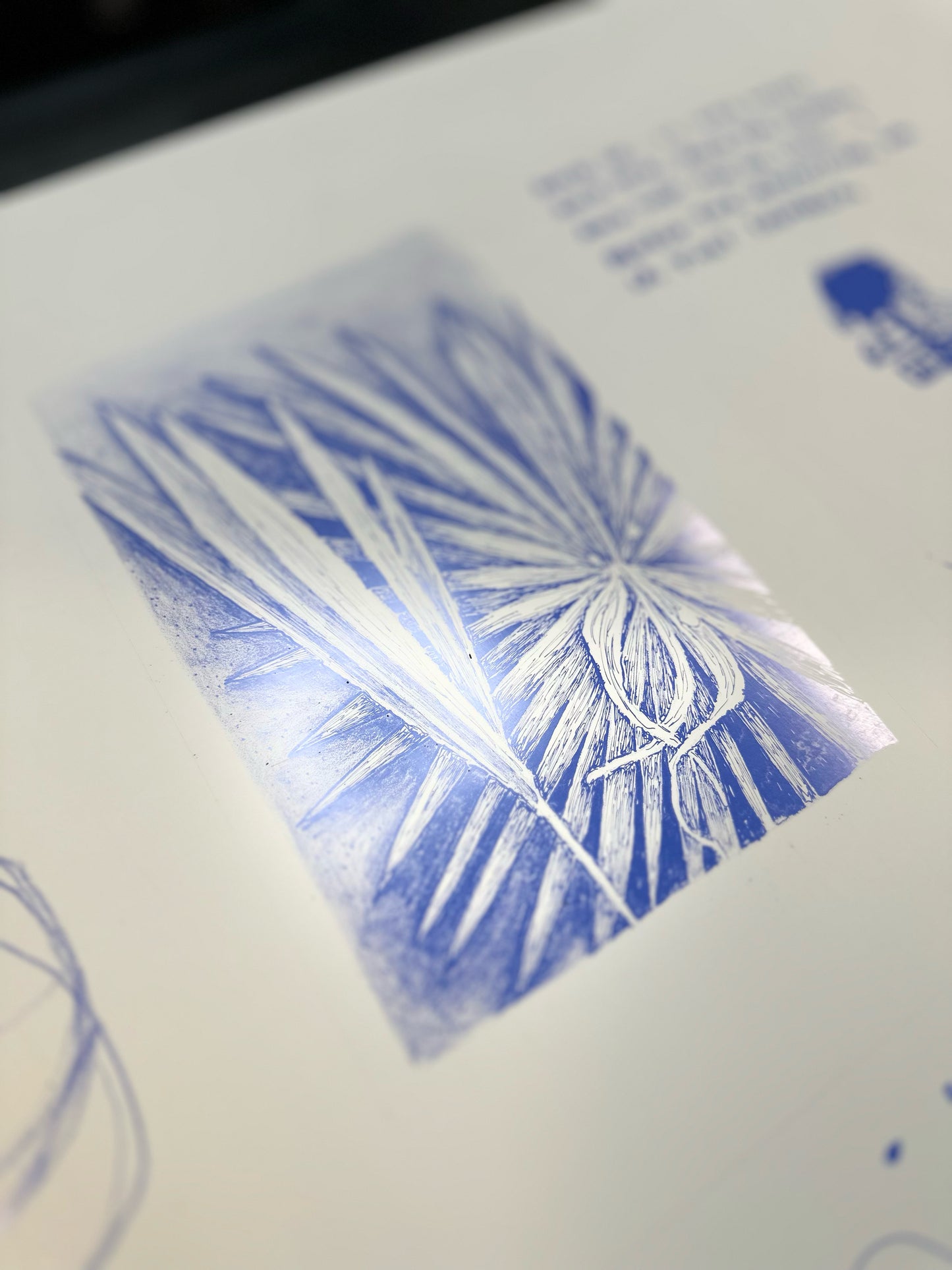 Palm/ Lithography / 17x23 cm