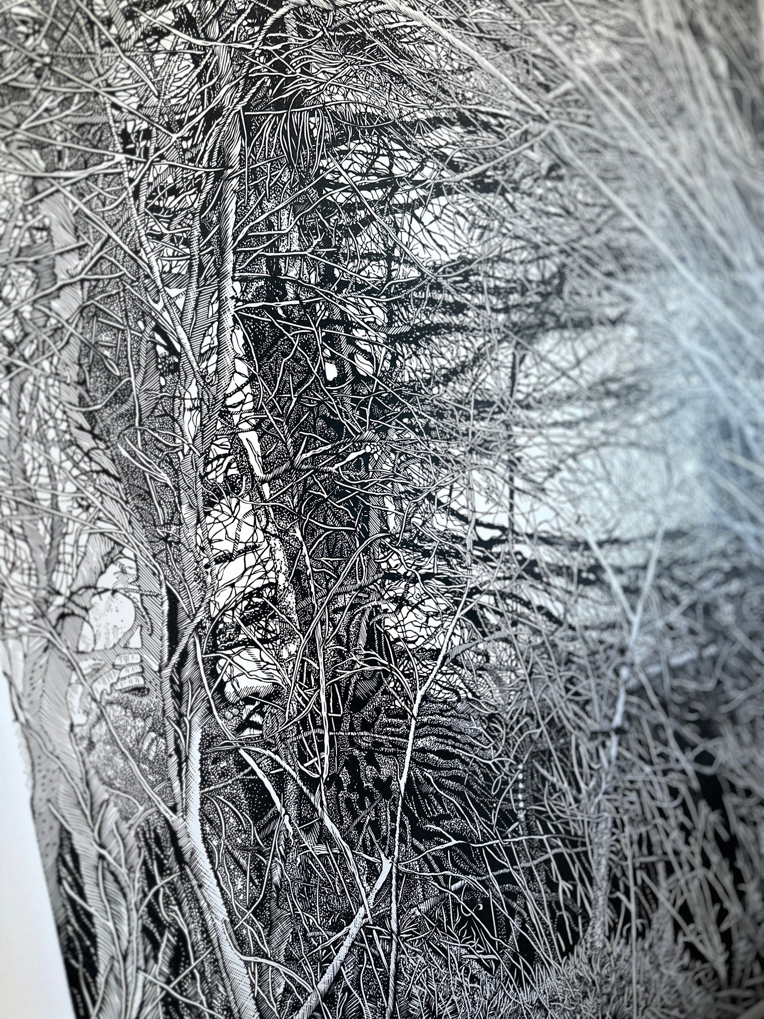 Rootlines