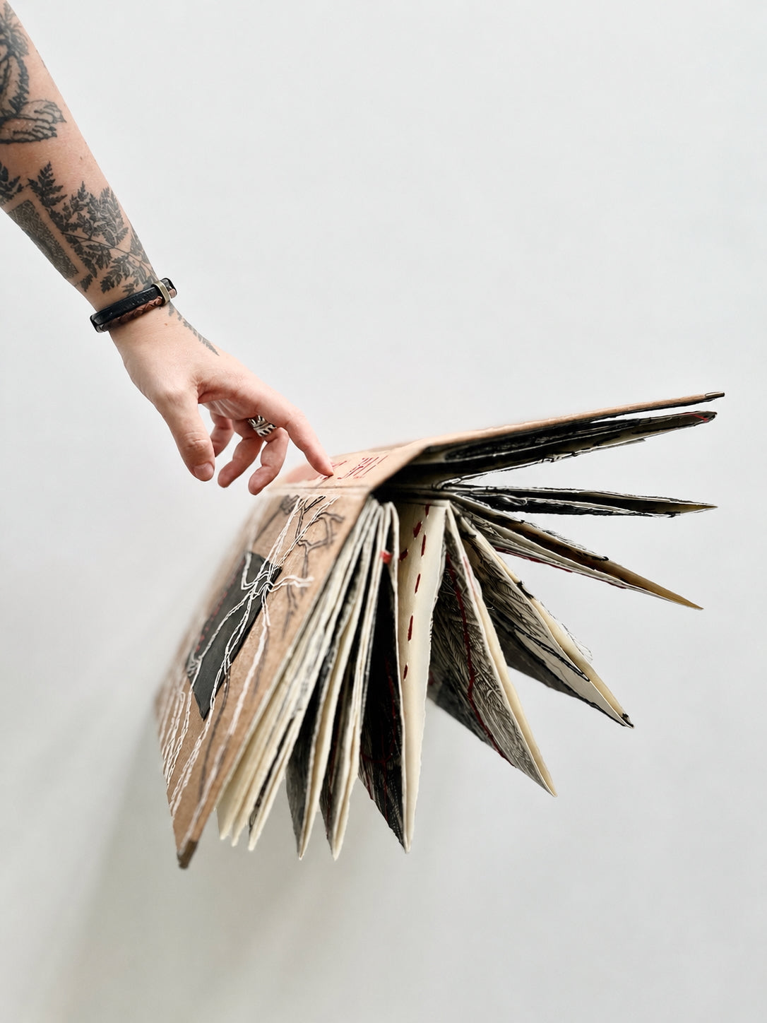 The Shelter / ART BOOK