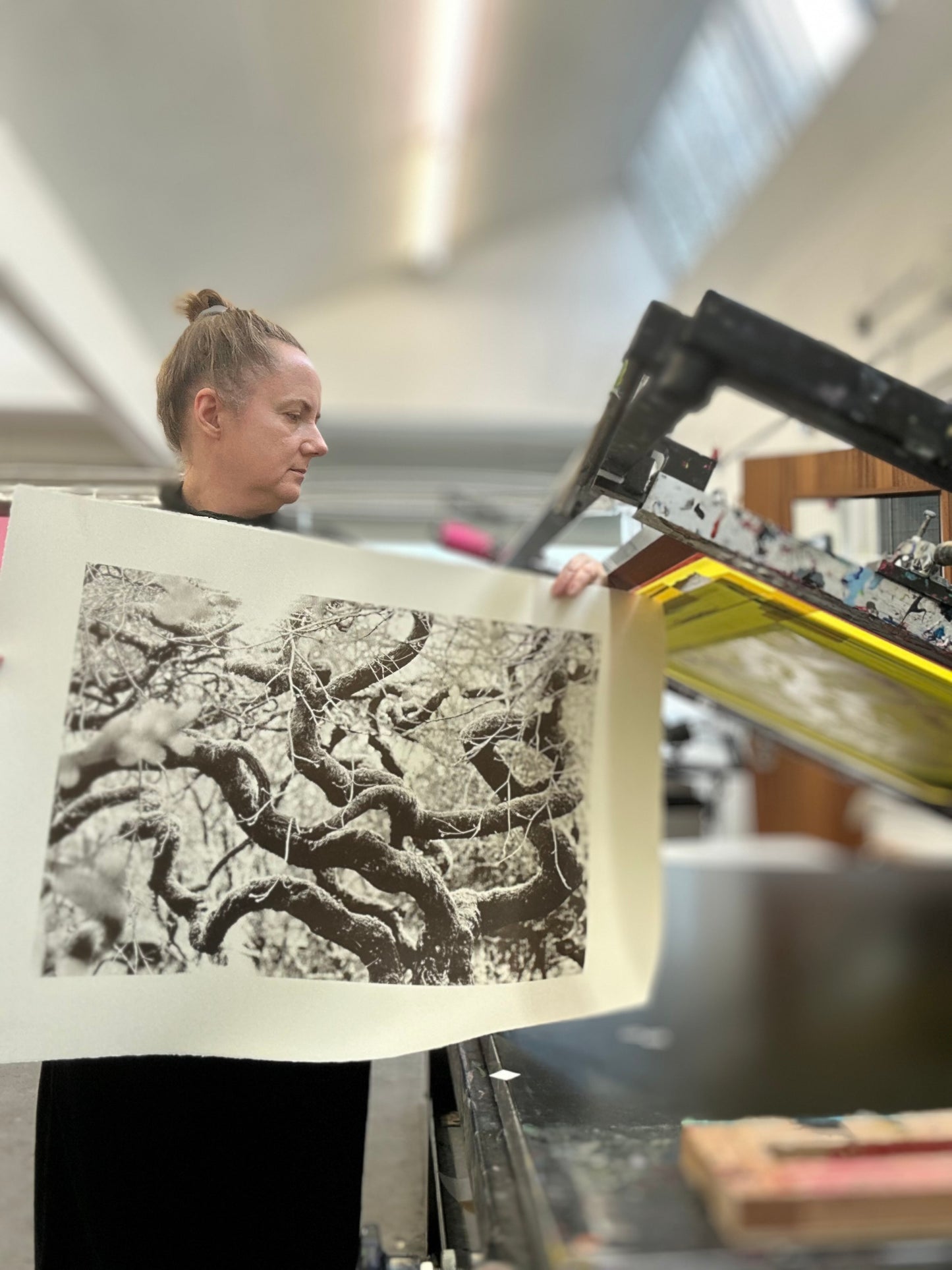 Echos I / Screen Print / 56x76cm