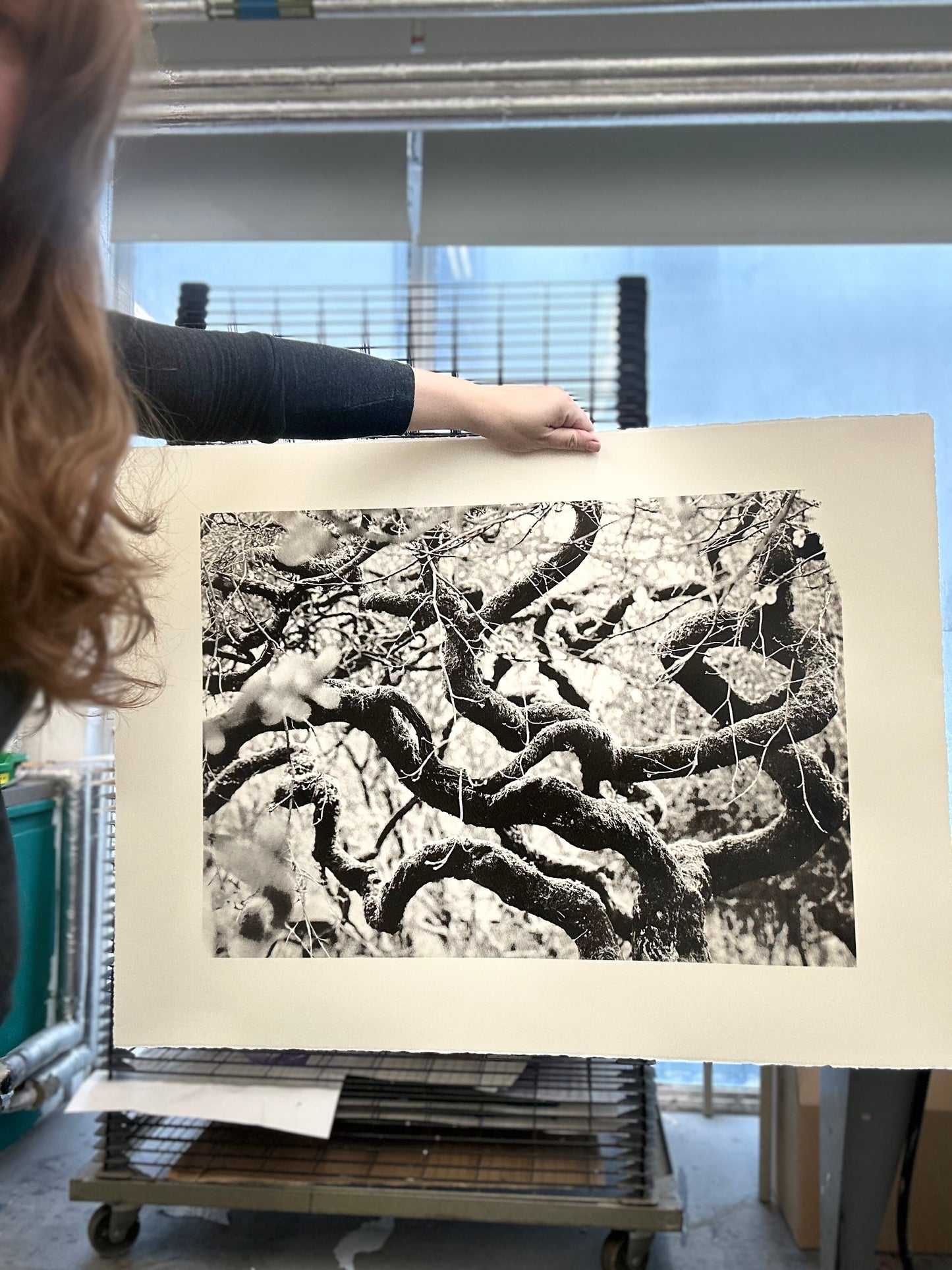 Echos I / Screen Print / 56x76cm