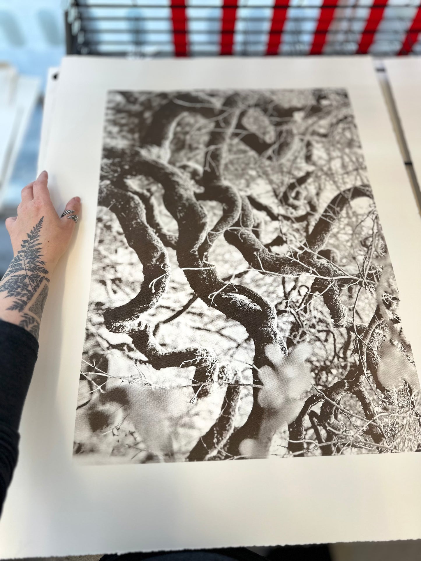 Echos I / Screen Print / 56x76cm