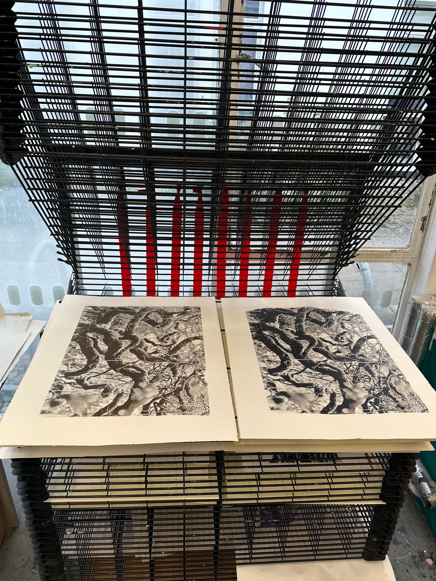 Echos I / Screen Print / 56x76cm