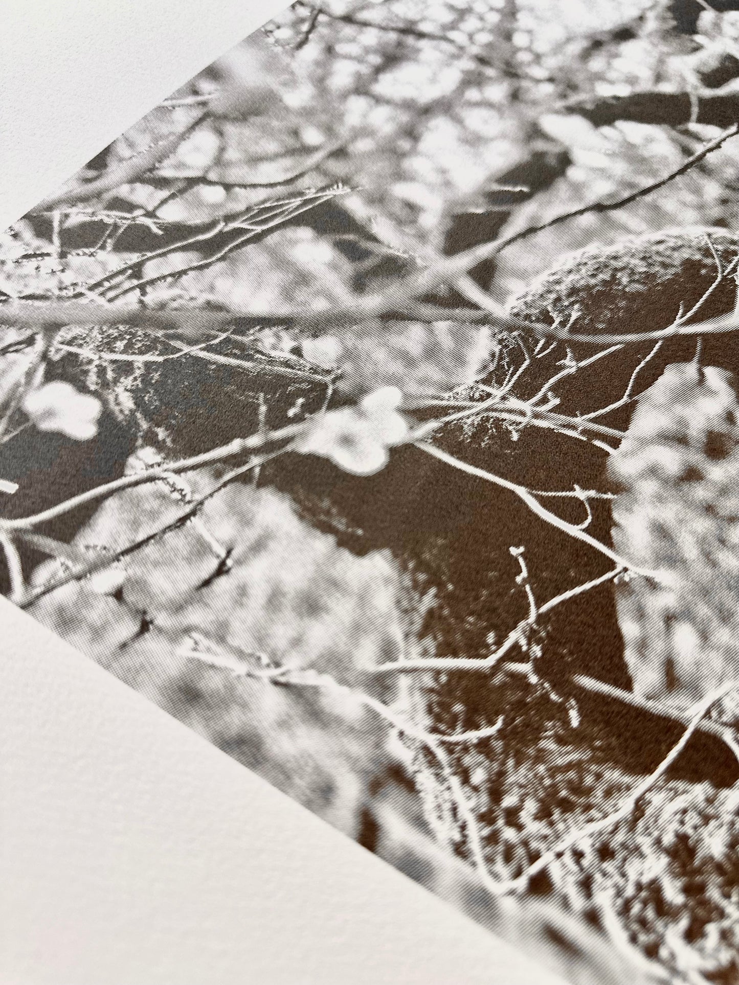 Echos I / Screen Print / 56x76cm