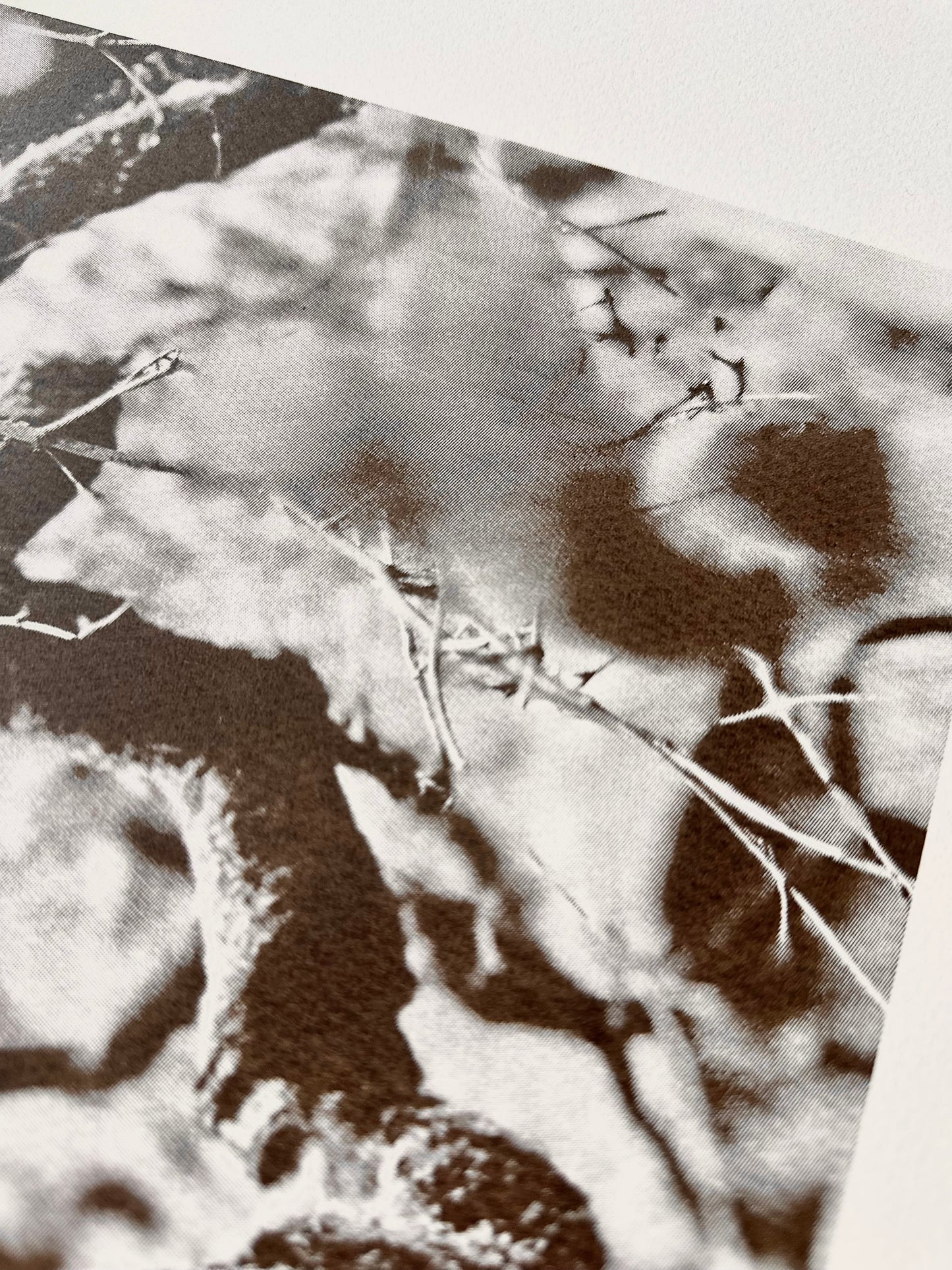 Echos I / Screen Print / 56x76cm