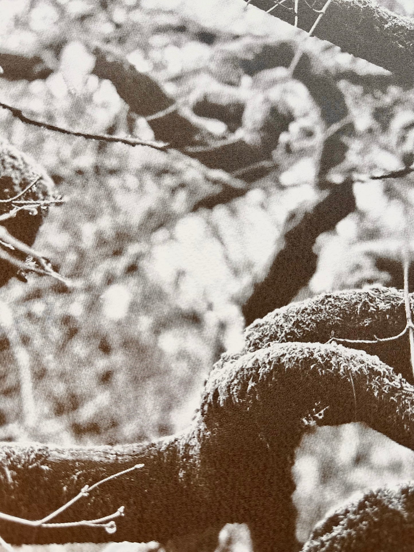 Echos I / Screen Print / 56x76cm