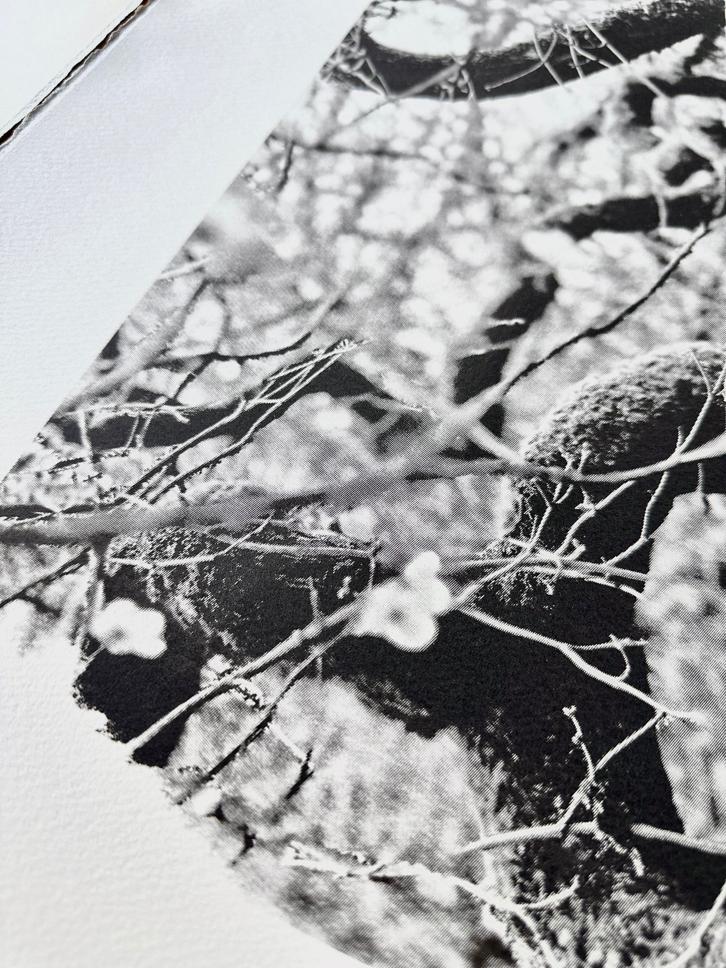 Echos I / Screen Print / 56x76cm