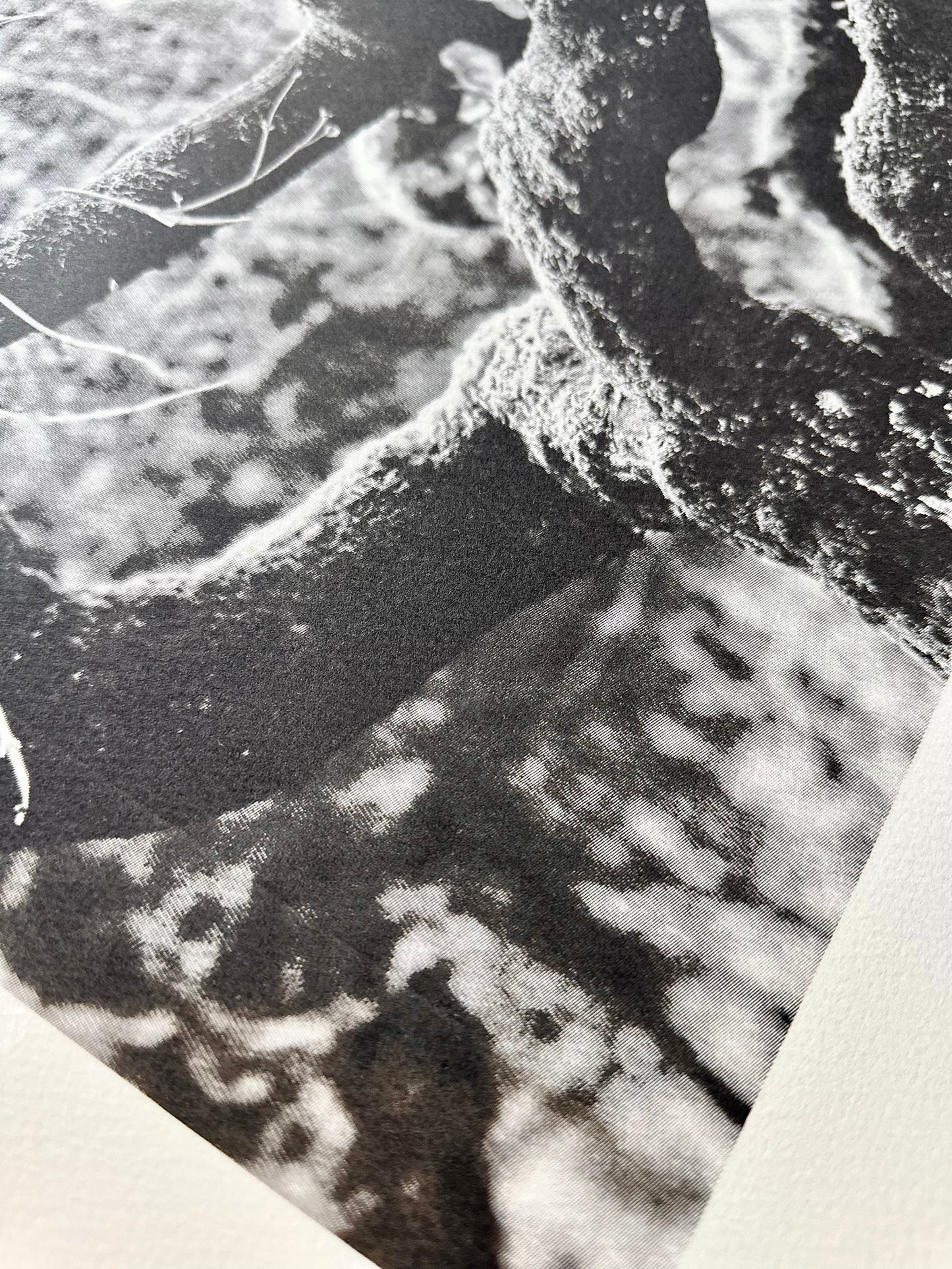 Echos I / Screen Print / 56x76cm