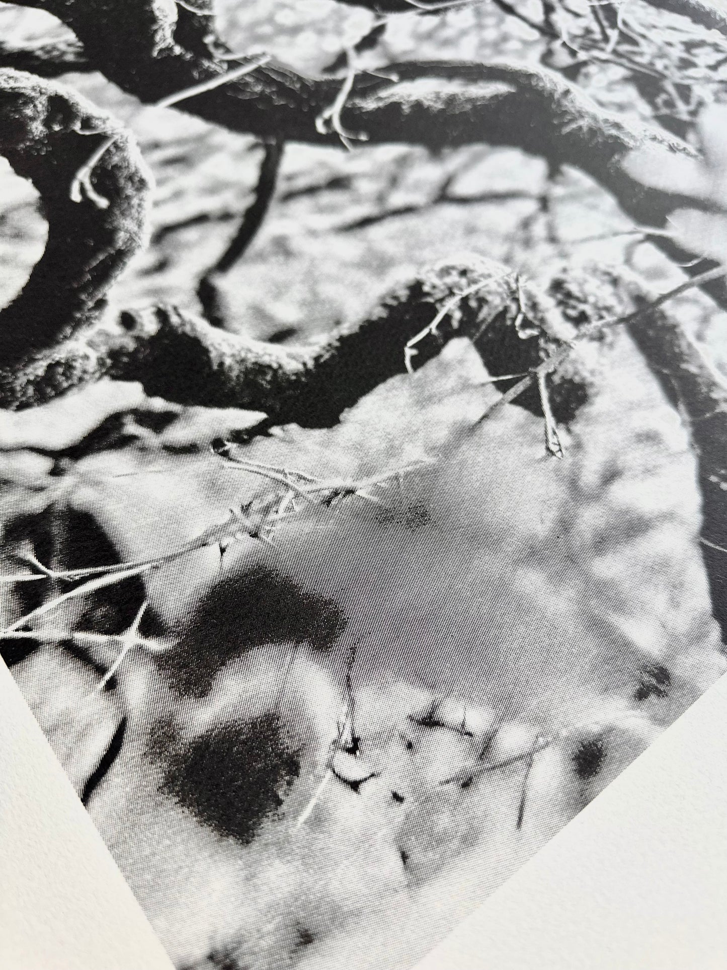 Echos I / Screen Print / 56x76cm