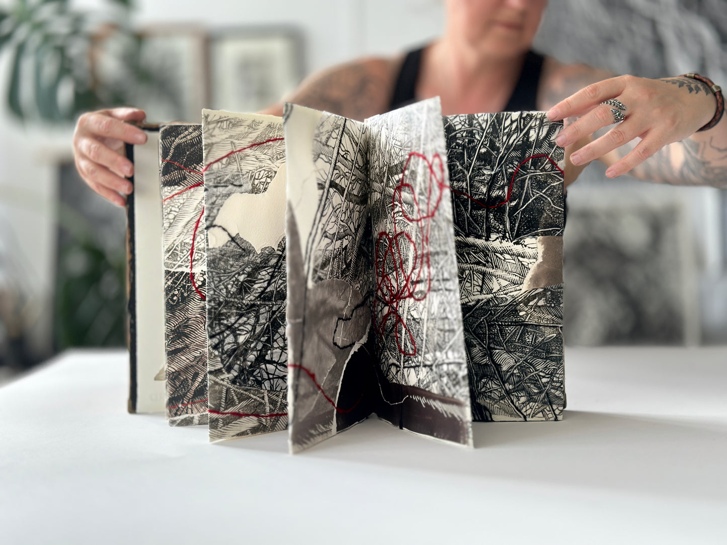 The Shelter / ART BOOK