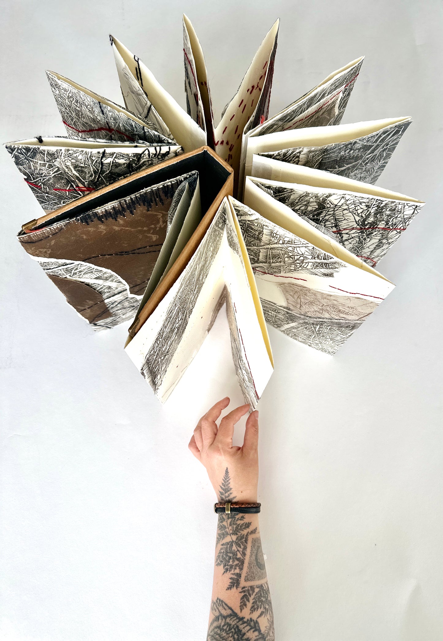 The Shelter / ART BOOK