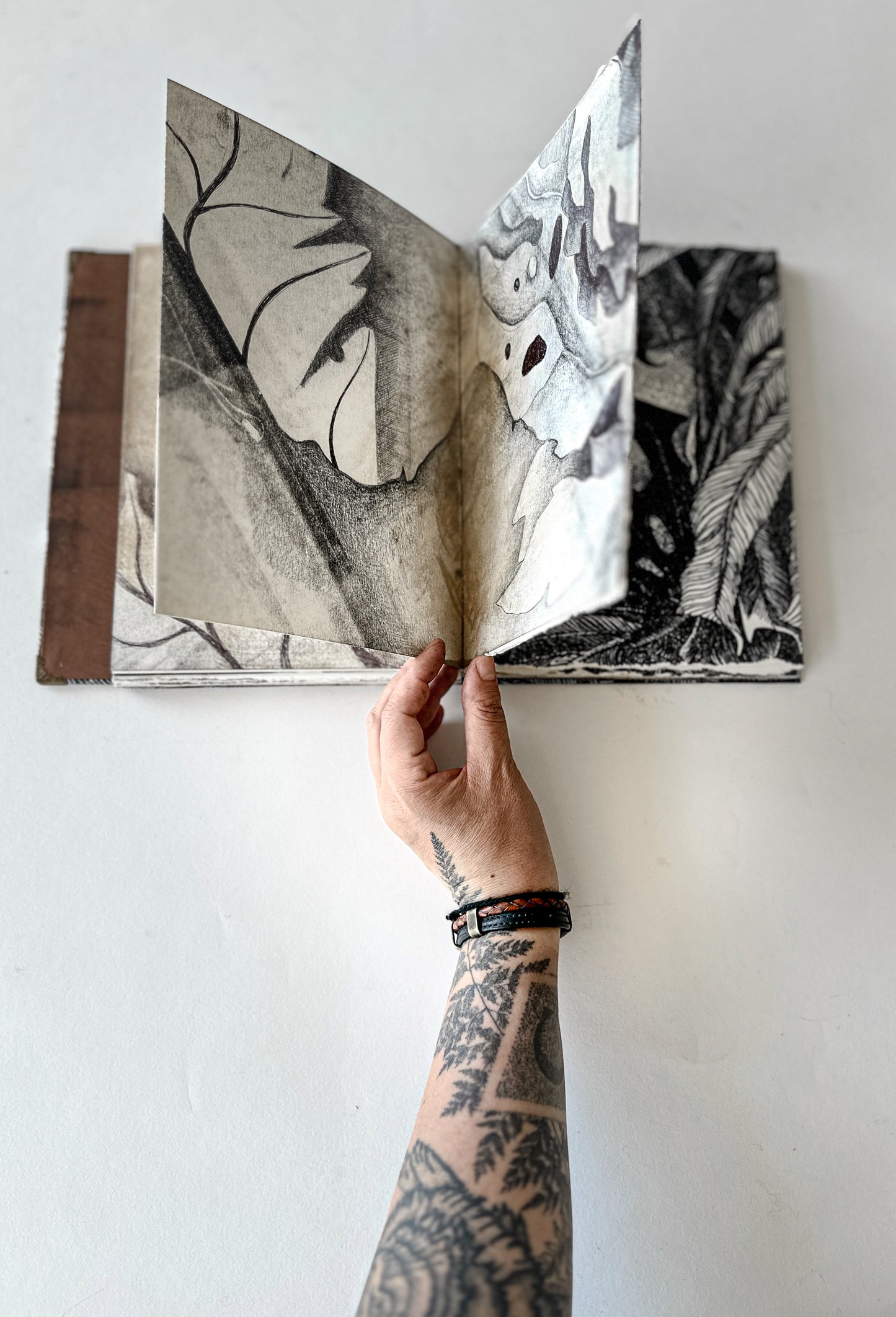 Where Mountains Breathe / ART BOOK