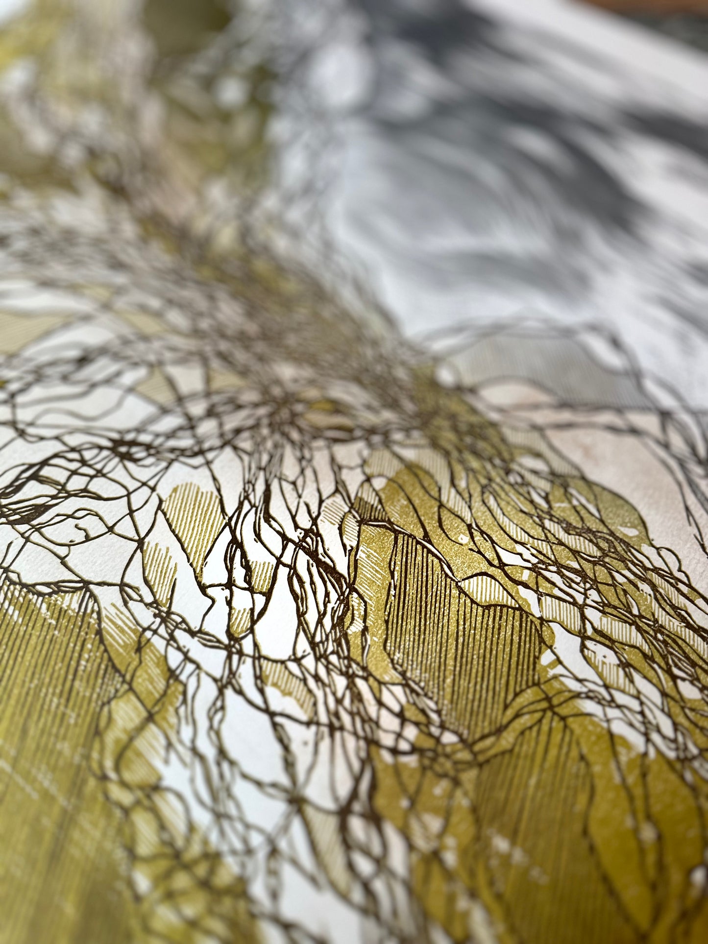 Rootlines: Valley / 50x70 cm