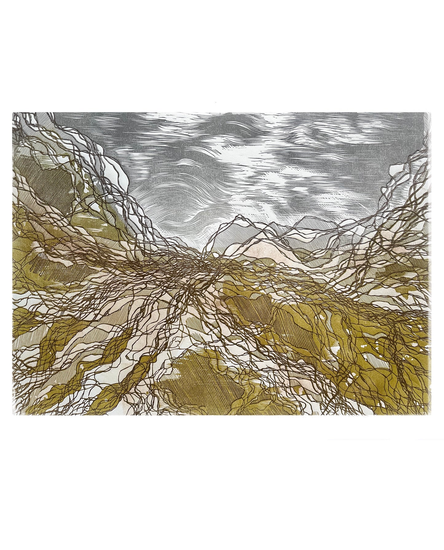 Rootlines: Valley / 50x70 cm