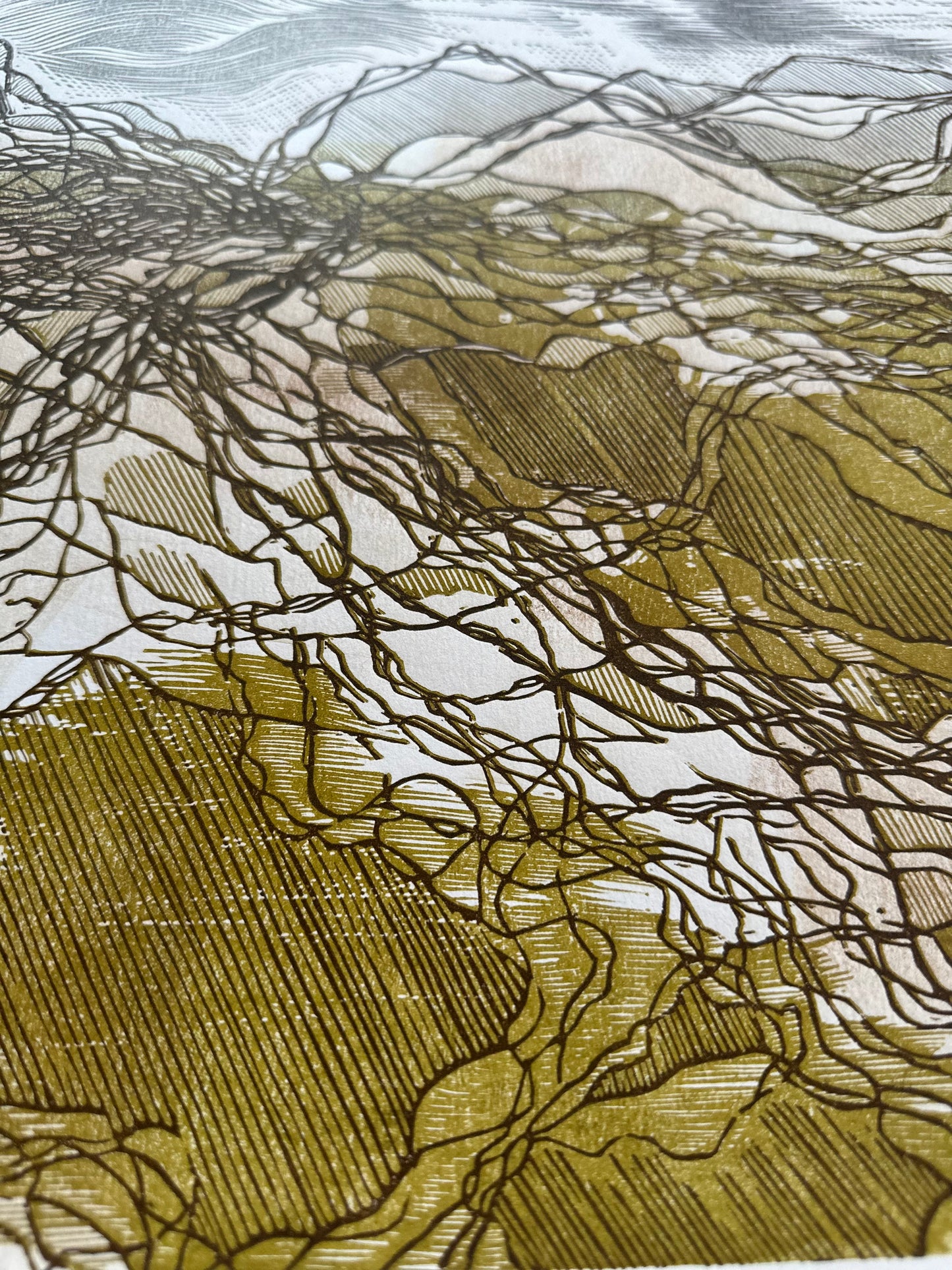 Rootlines: Valley / 50x70 cm