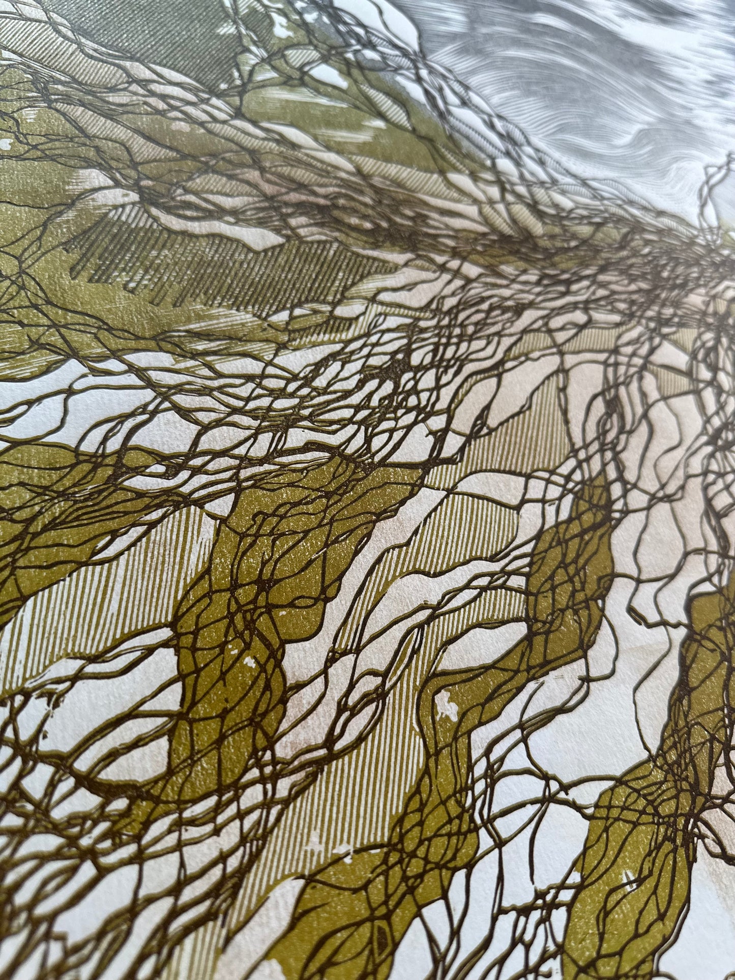 Rootlines: Valley / 50x70 cm