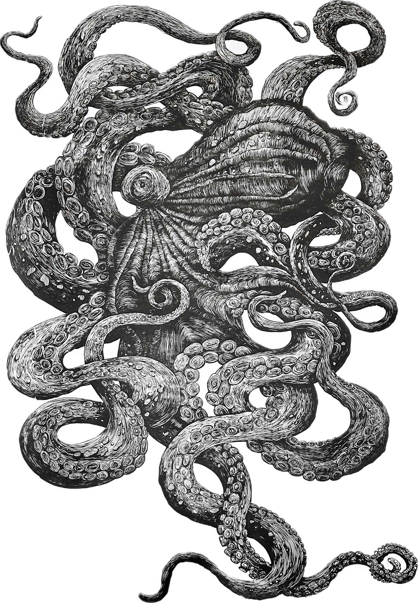 Giant Octopus II / VA / 150x105 cm