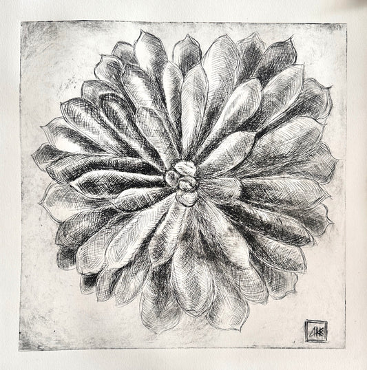 Echeveria 45x45 cm / ETCHING