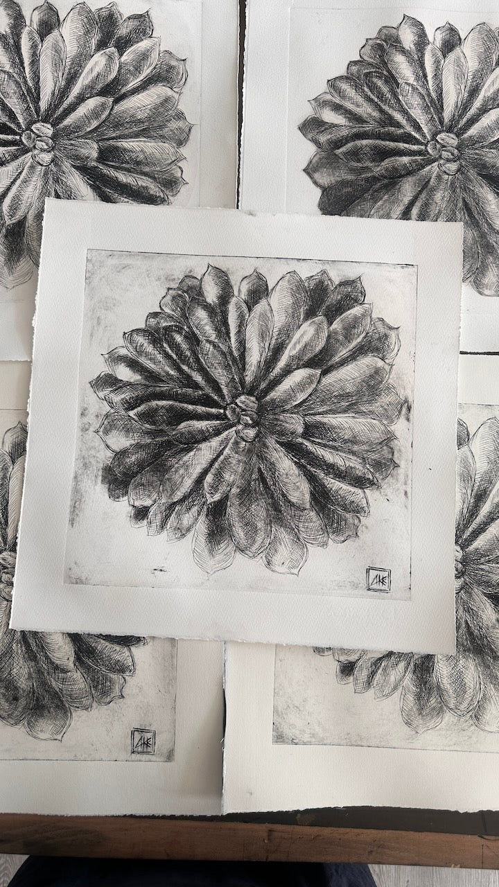 Echeveria 45x45 cm / ETCHING