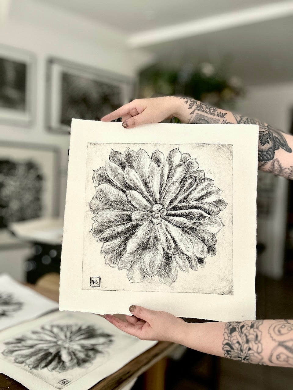 Echeveria 45x45 cm / ETCHING