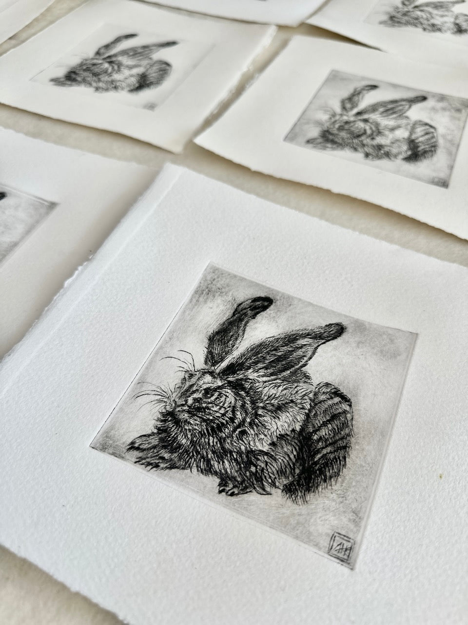 Hare after Durer 20x20 cm / ETCHING