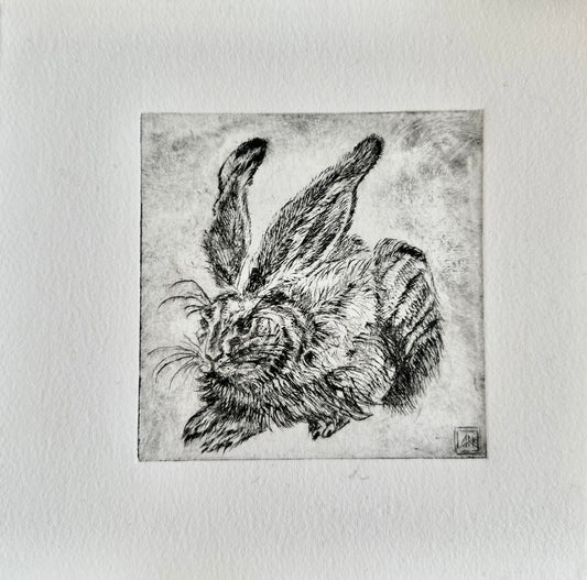 Hare after Durer 20x20 cm / ETCHING