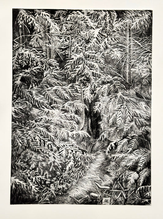 The Path 56x38 cm / DRY POINT Etching