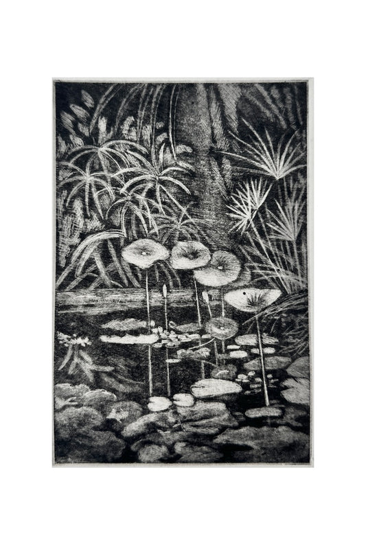 The Pound / 19x26 cm / MEZZOTINT Etching