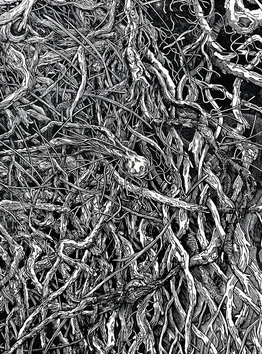 Habitat No3 Onion / 45x65 cm