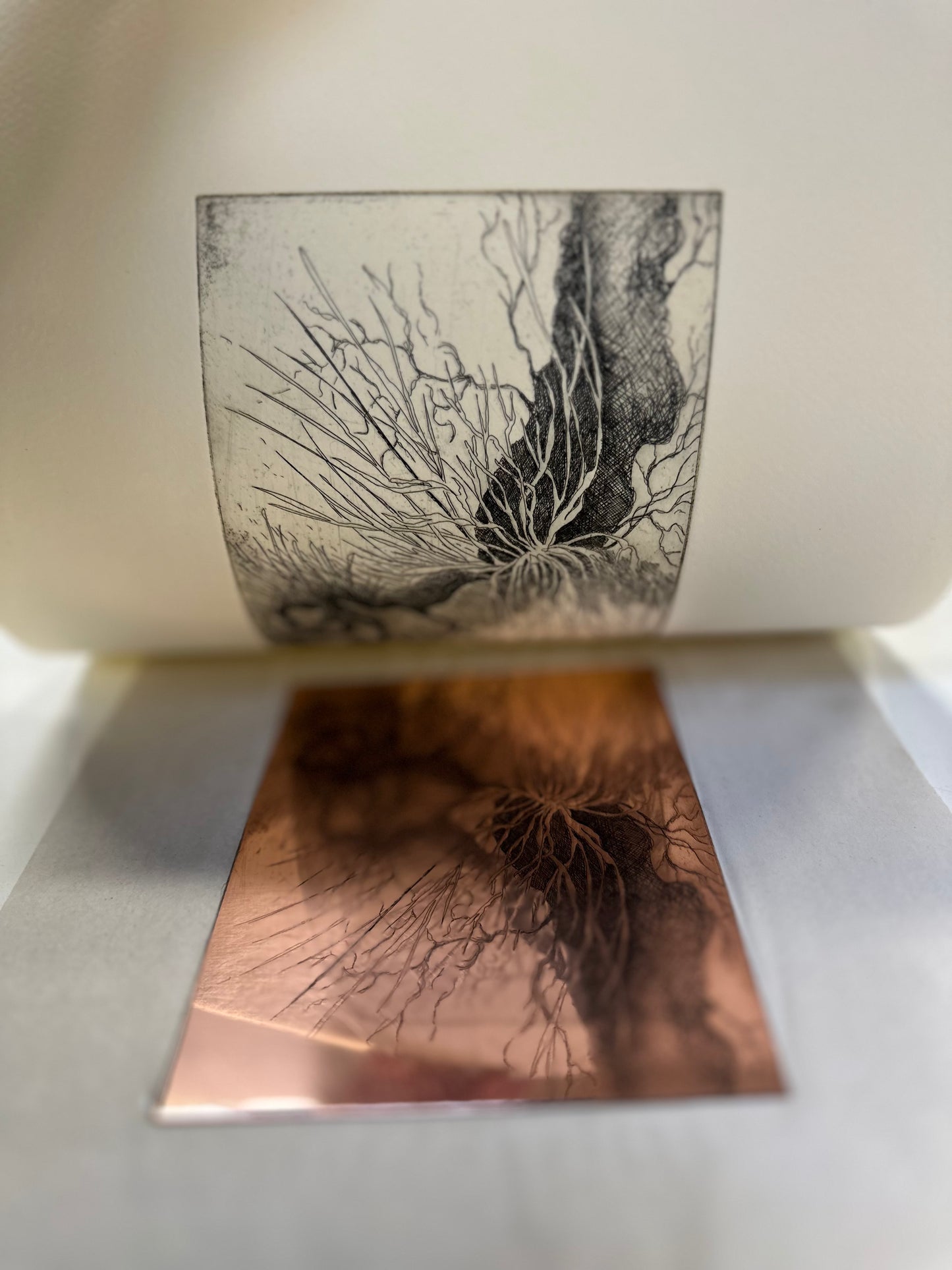 Where Holding Begins / Etching / 38x29cm