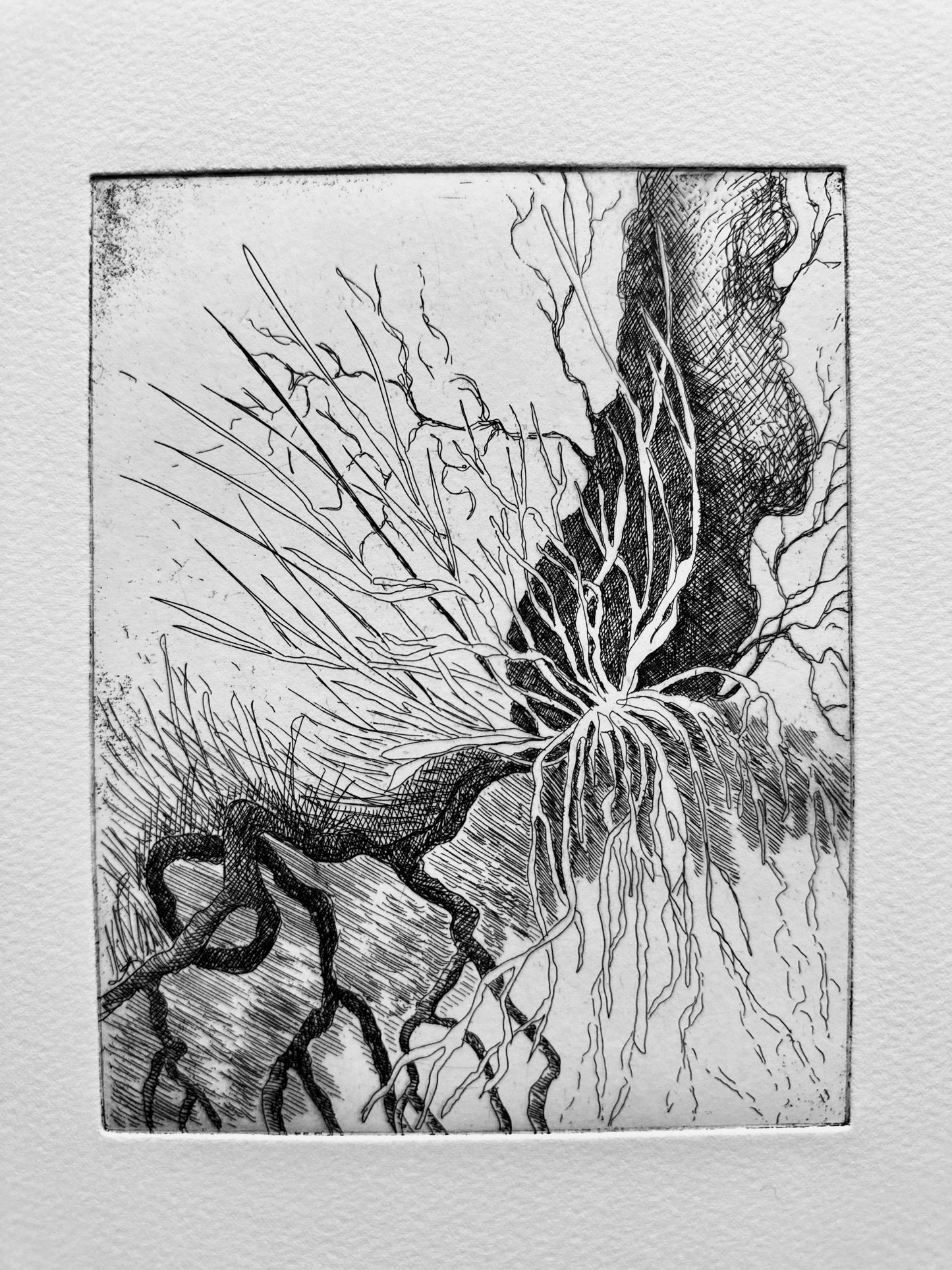 Where Holding Begins / Etching / 38x29cm