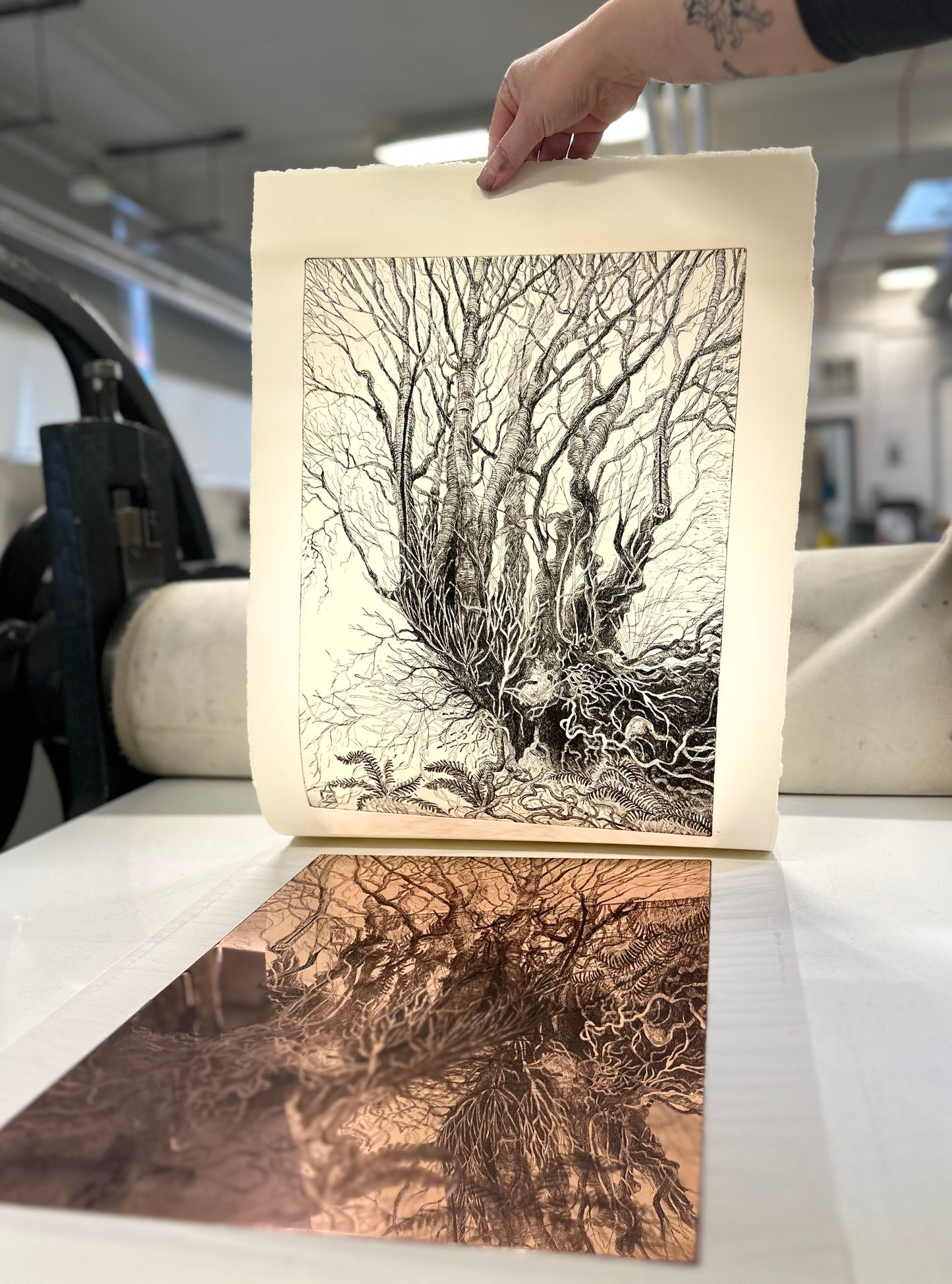 Rooted / Etching / 38x57cm