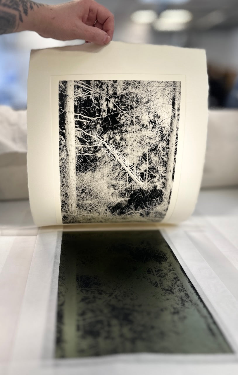 Forest / Photopolymer / 38x28cm