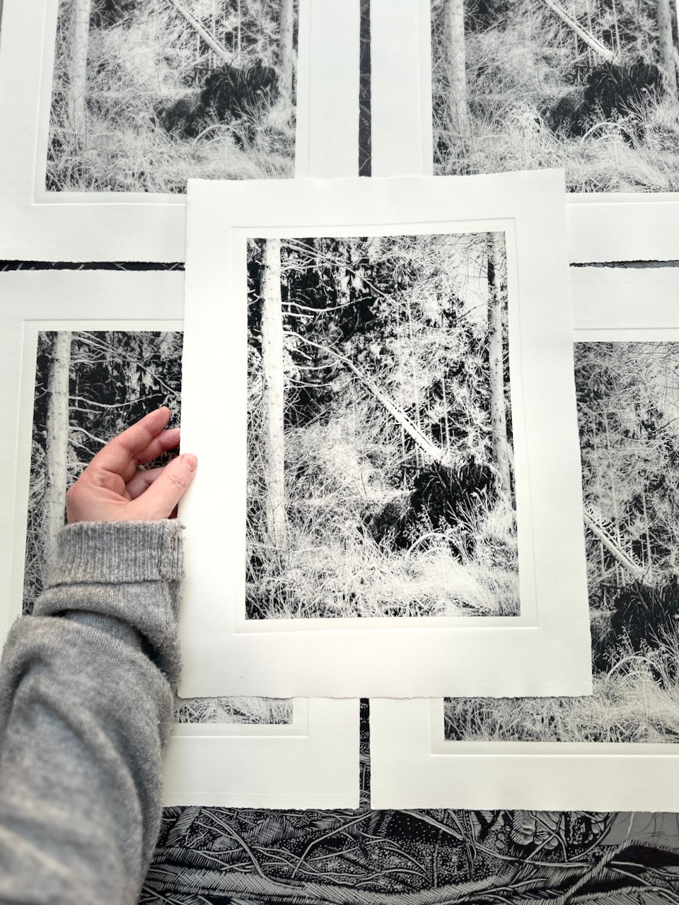 Forest / Photopolymer / 38x28cm