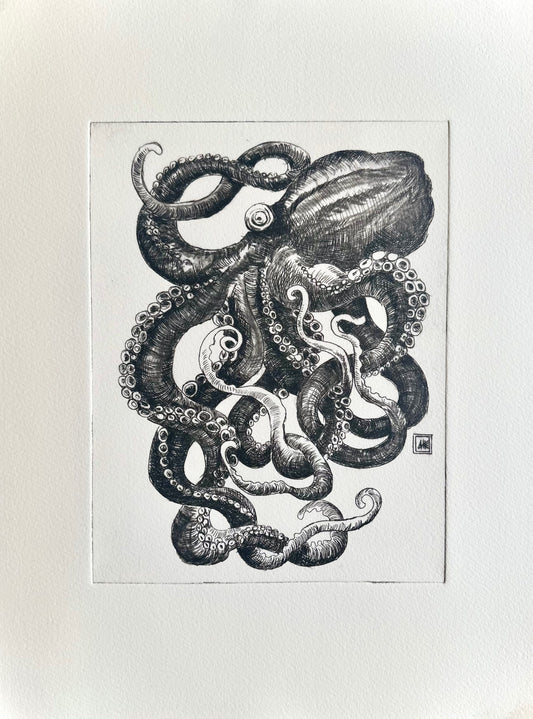 Small Octopus 28x38 cm/ DRY POINT Etching