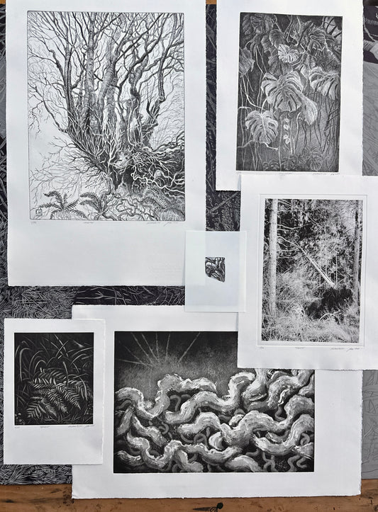 Rootlines: Collector's Portfolio / SET of 6