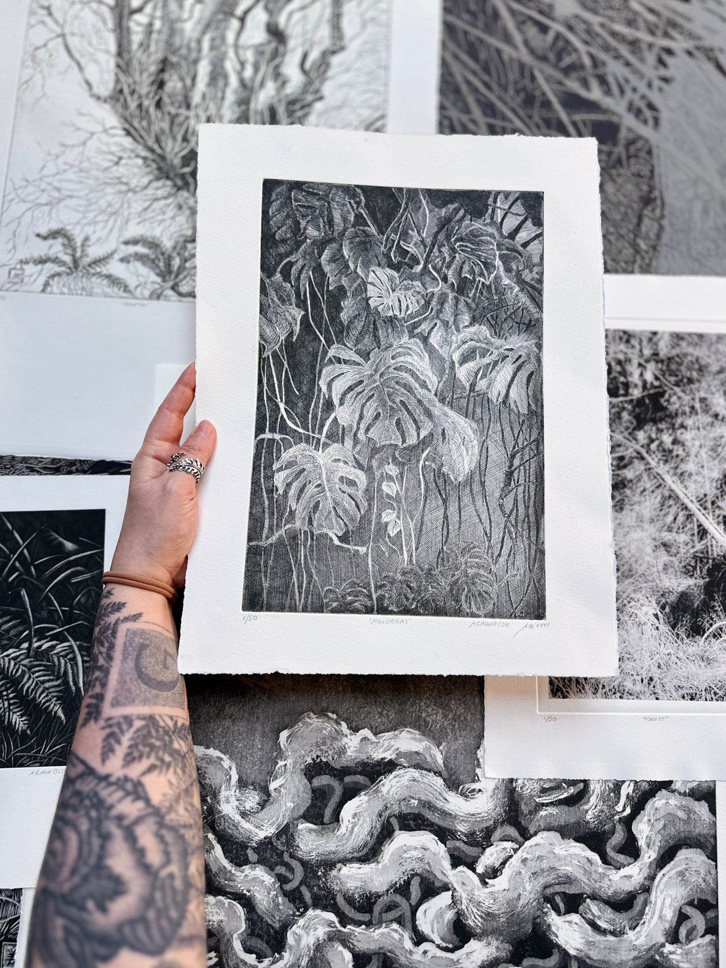 Rootlines: Collector's Portfolio / SET of 6