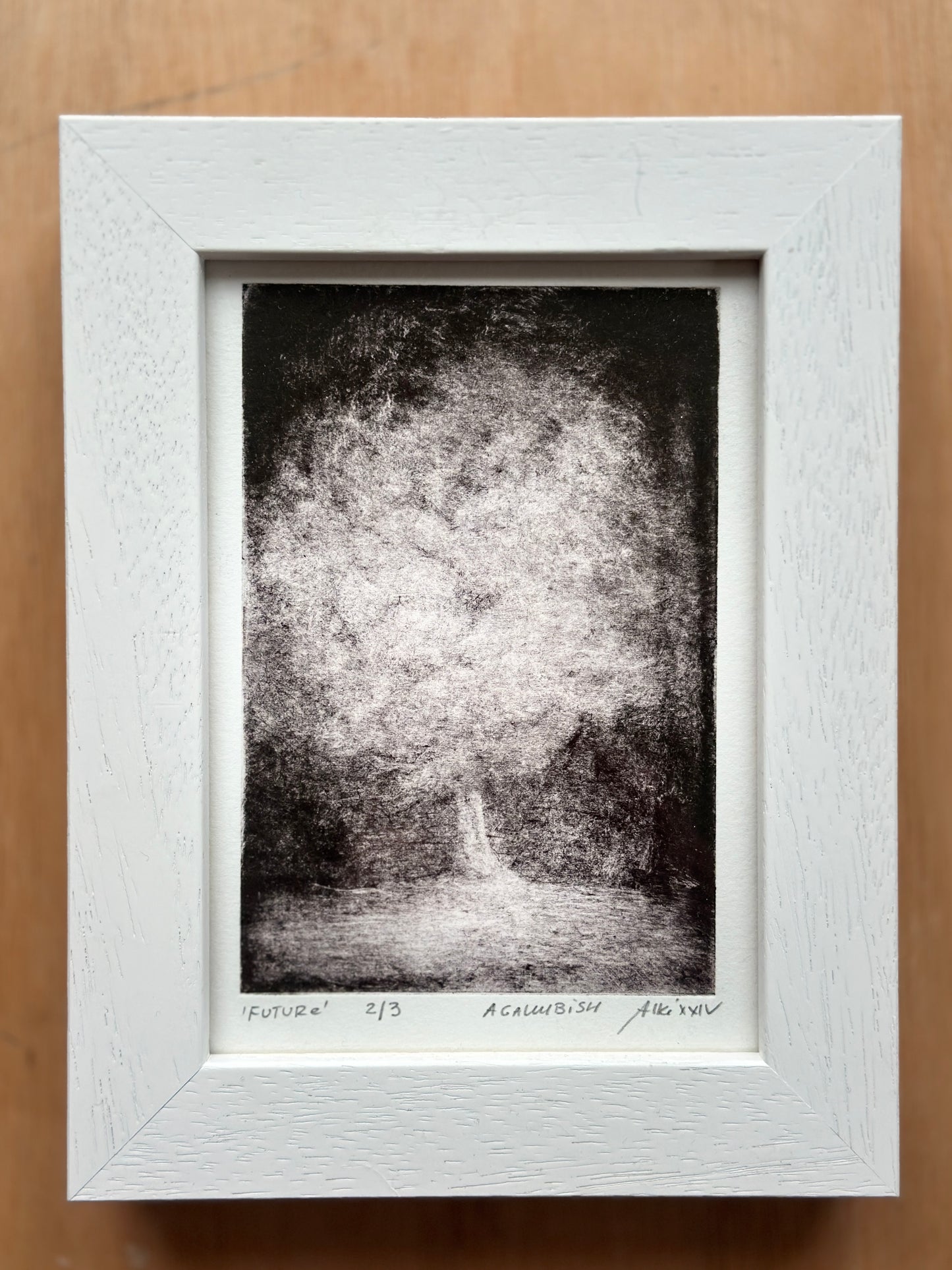 Future / FRAMED / 22x17cm