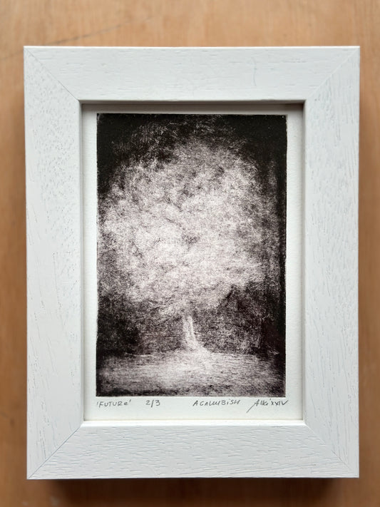 Future / FRAMED / 22x17cm