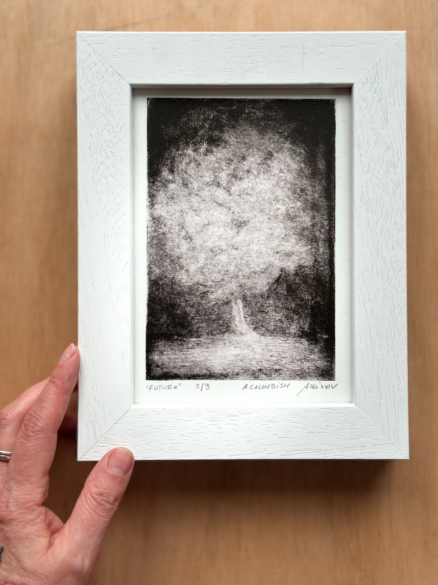 Future / FRAMED / 22x17cm