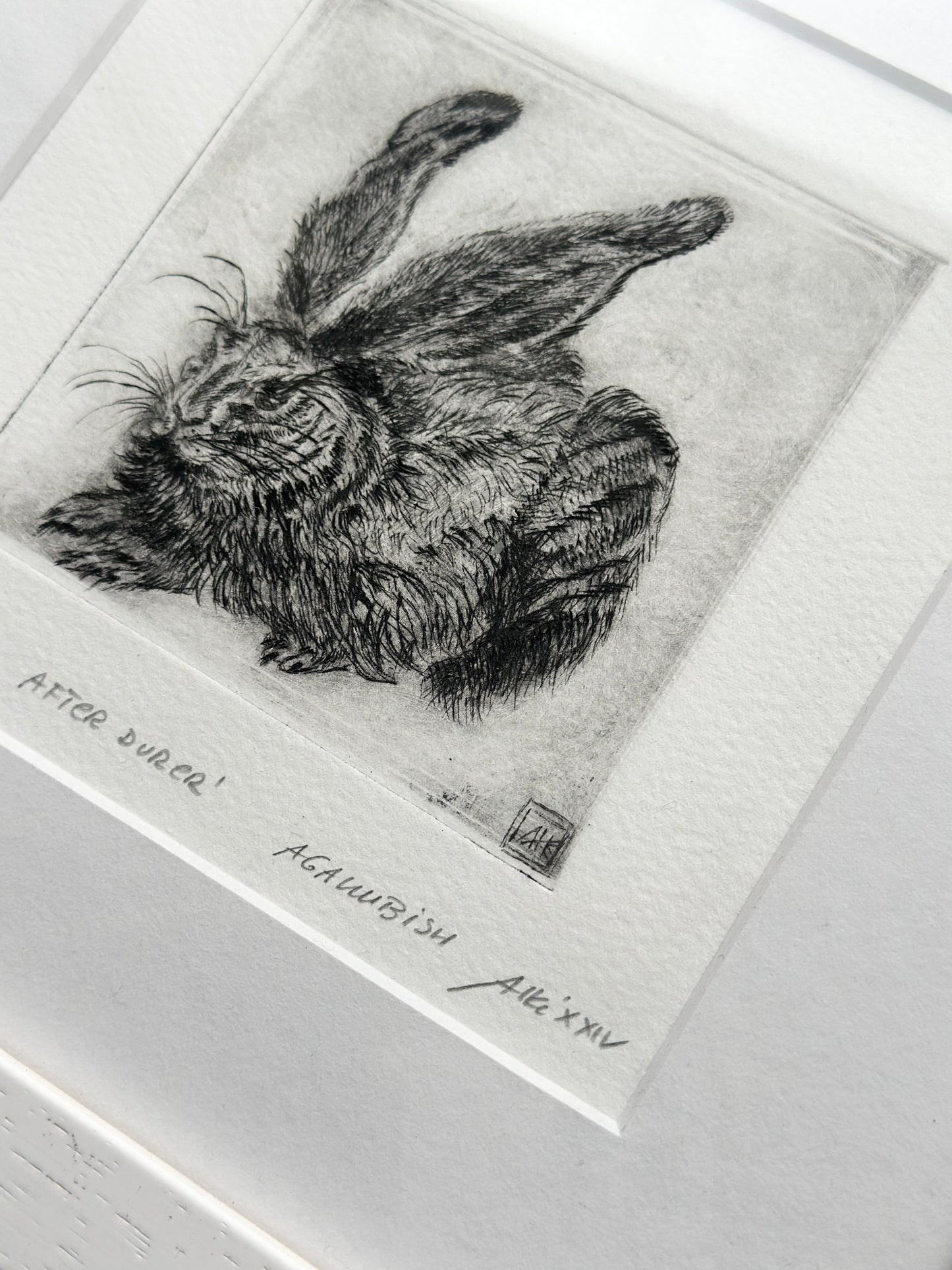 Hare after Durer / FRAMED / 25x26cm