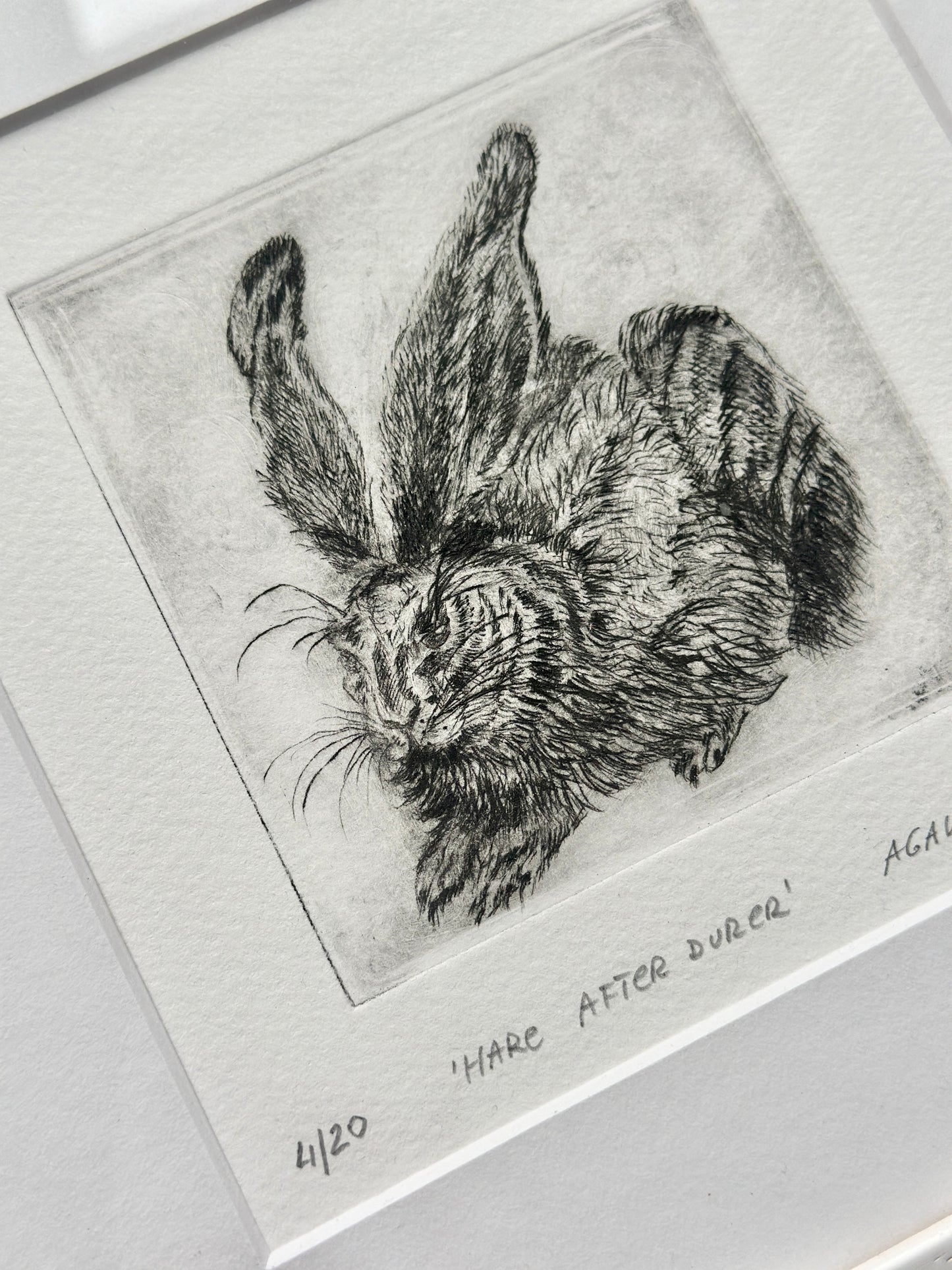 Hare after Durer / FRAMED / 25x26cm