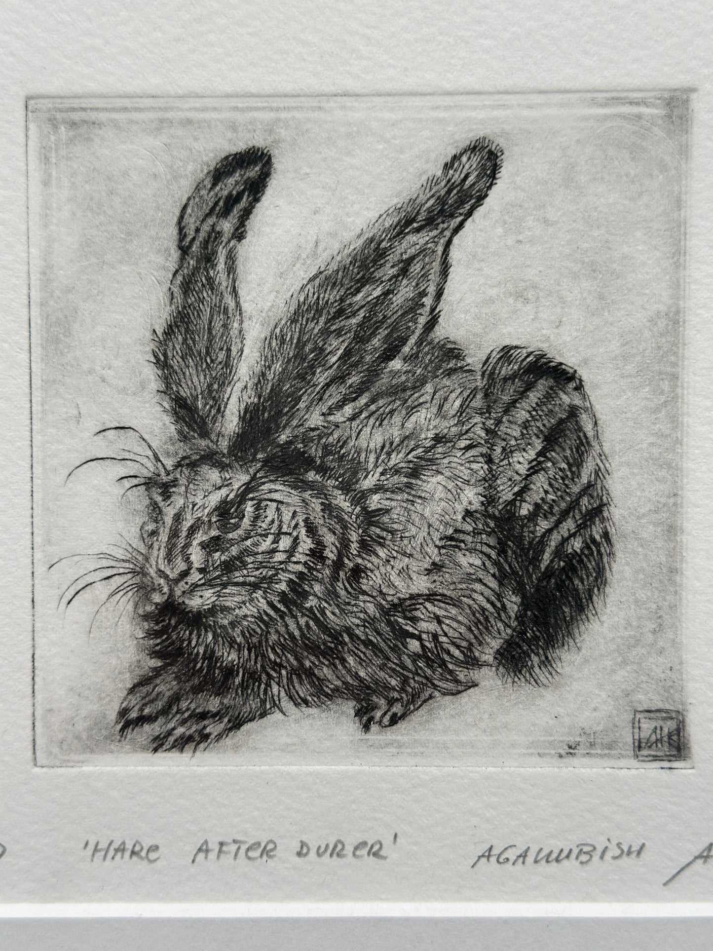 Hare after Durer / FRAMED / 25x26cm