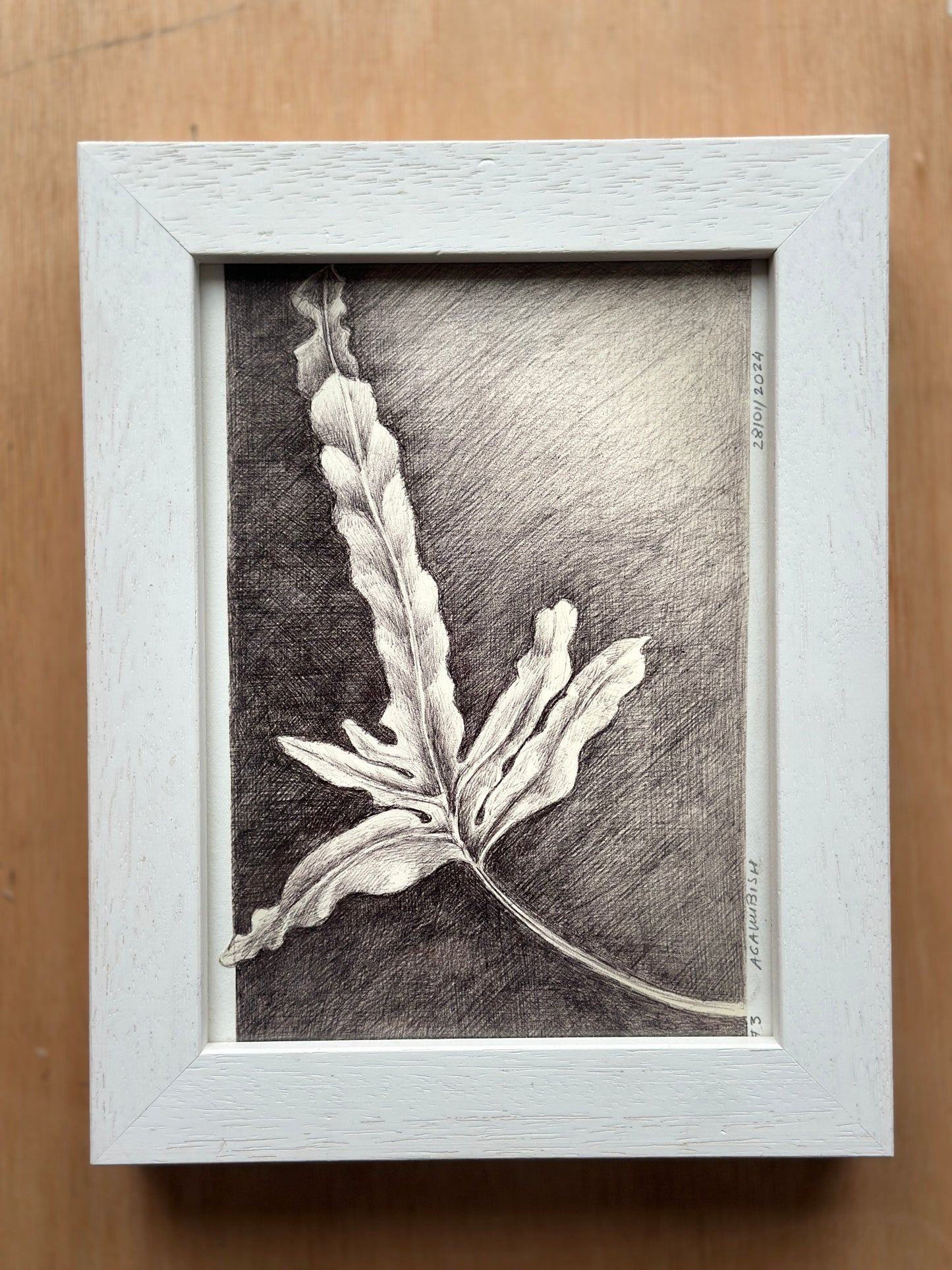 No 3 / FRAMED / 19x24cm