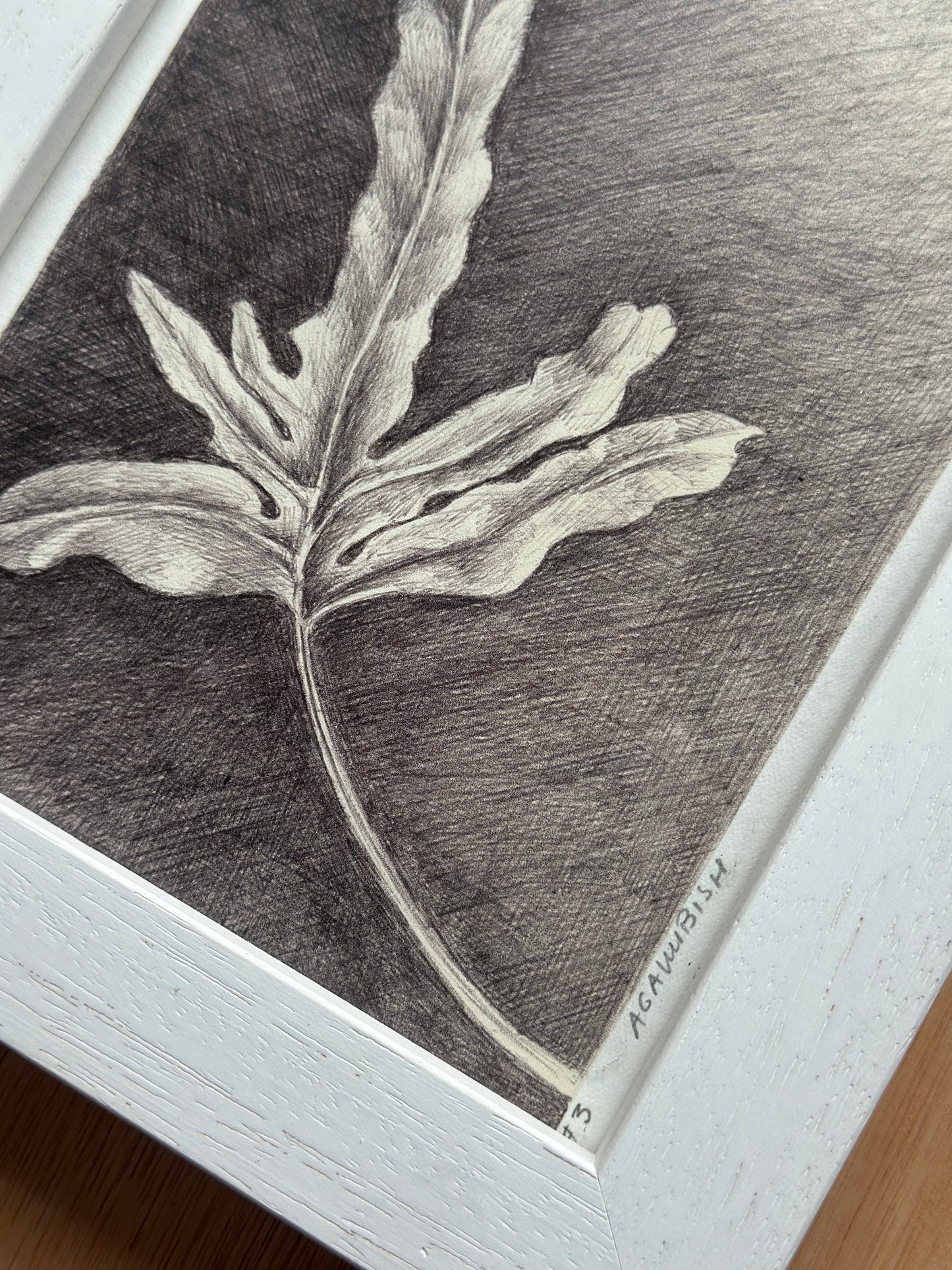 No 3 / FRAMED / 19x24cm